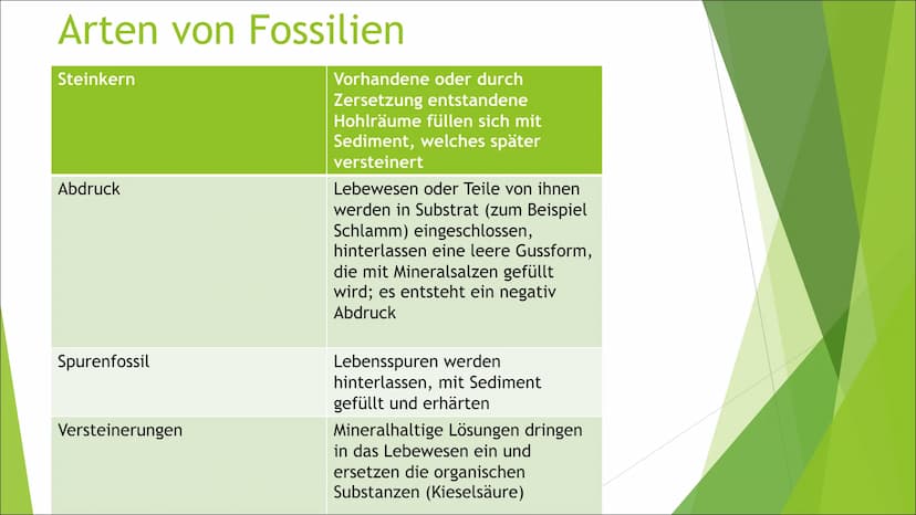 (Lebende) Fossilien und
Brückentiere
Liam Inhaltsverzeichnis
► Was sind Fossilien?
► Geschichte
► Ablauf Fossilisation
► Bedingungen Fossili