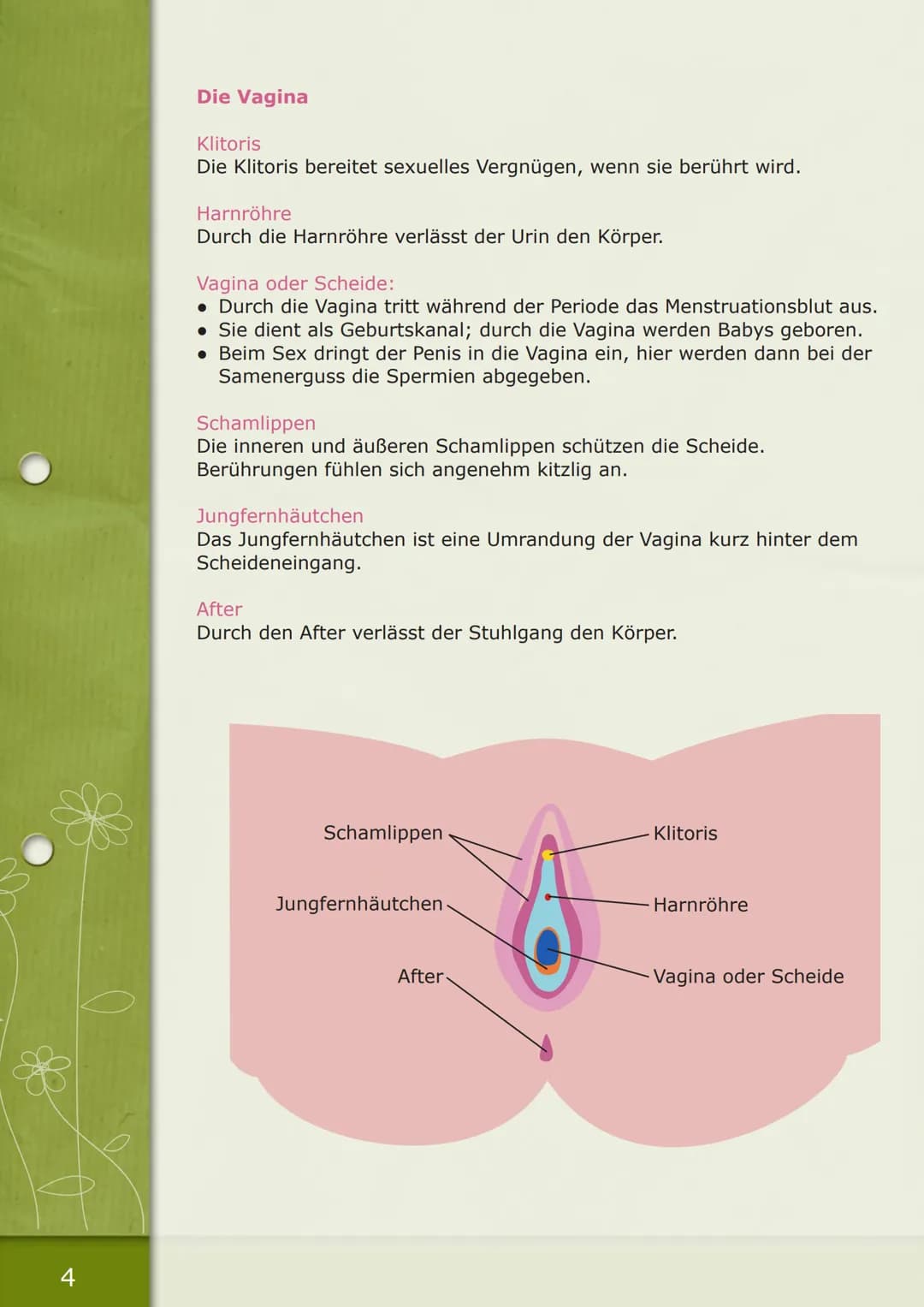 Das Jungfernhäutchen
Falsche Vorstellungen und Fakten
*0 2
Inhalt
1. Was ist das Jungfernhäutchen?
2. Was ist Jungfräulichkeit?
3. Bluten od