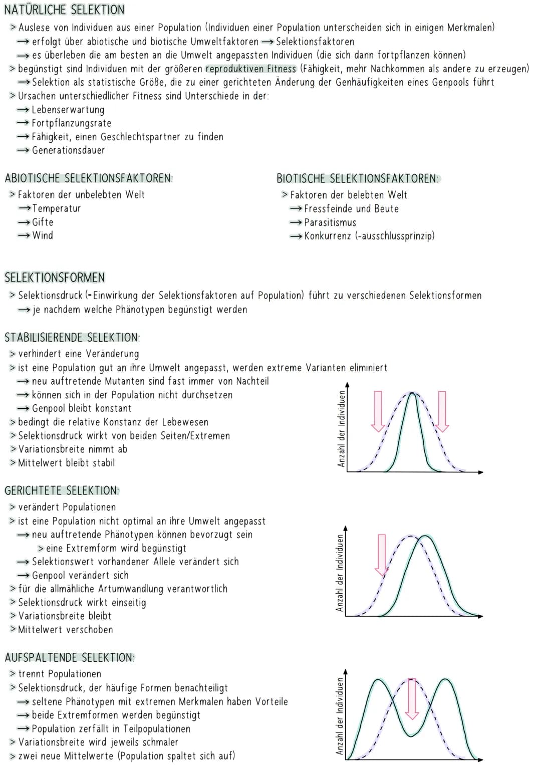 NATÜRLICHE SELEKTION
> Auslese von Individuen aus einer Population (Individuen einer Population unterscheiden sich in einigen Merkmalen)
→ e