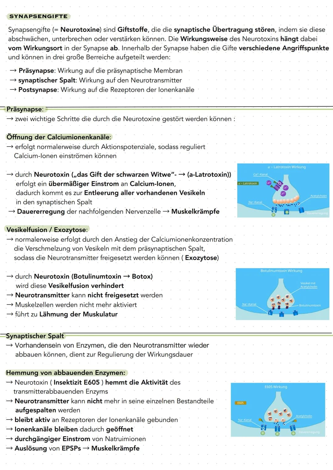 Q 3.1 NEUROBIOLOGIE
BAU UND FUNKTION DER NERVENZELLE
Nervenzellen (Neuronen) sind für die Aufnahme, Verarbeitung und Weiterleitung von Infor