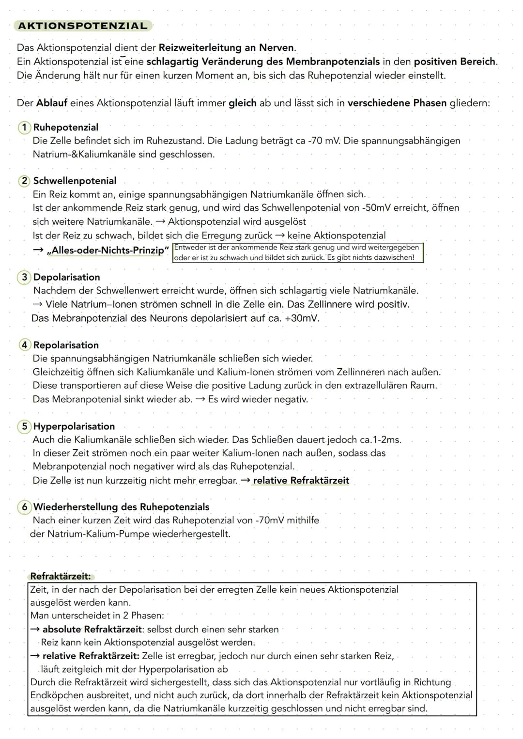 Q 3.1 NEUROBIOLOGIE
BAU UND FUNKTION DER NERVENZELLE
Nervenzellen (Neuronen) sind für die Aufnahme, Verarbeitung und Weiterleitung von Infor