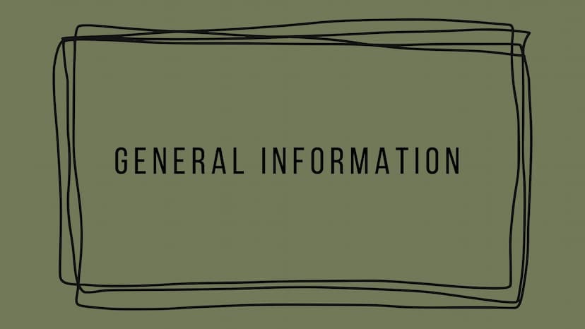 NEW ZEALAND 1 GENERAL INFORMATION
FLAG, CAPITAL, POPULATION, SIZE, LANGUAGE, CURRENCY, RELIGION...
TOPICS
2 HISTORY
3 PRO AND CONS ABOUT LIV