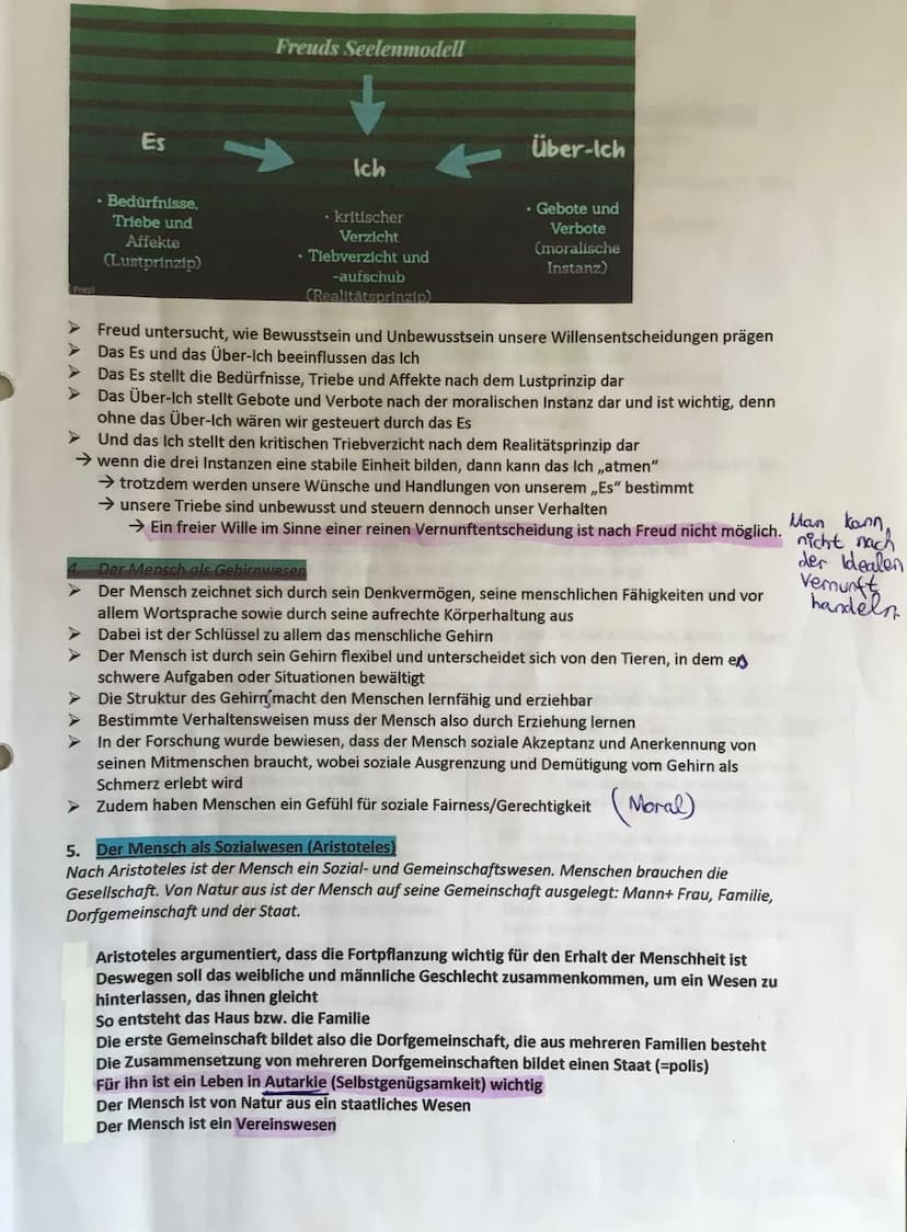Ethik Q1.1 Lernblätter
Menschenbilder und deren Funktion
→ Menschenbilder sind wichtig für das menschliche Dasein/Existenz
➤ Sie dienen zur 