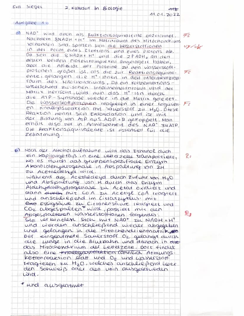 <h2 id="biologieklausurenzymeundstoffwechsel">Biologie Klausur: Enzyme und Stoffwechsel</h2>
<h3 id="aufgabe1alkoholabbauinleberzellen">Aufg