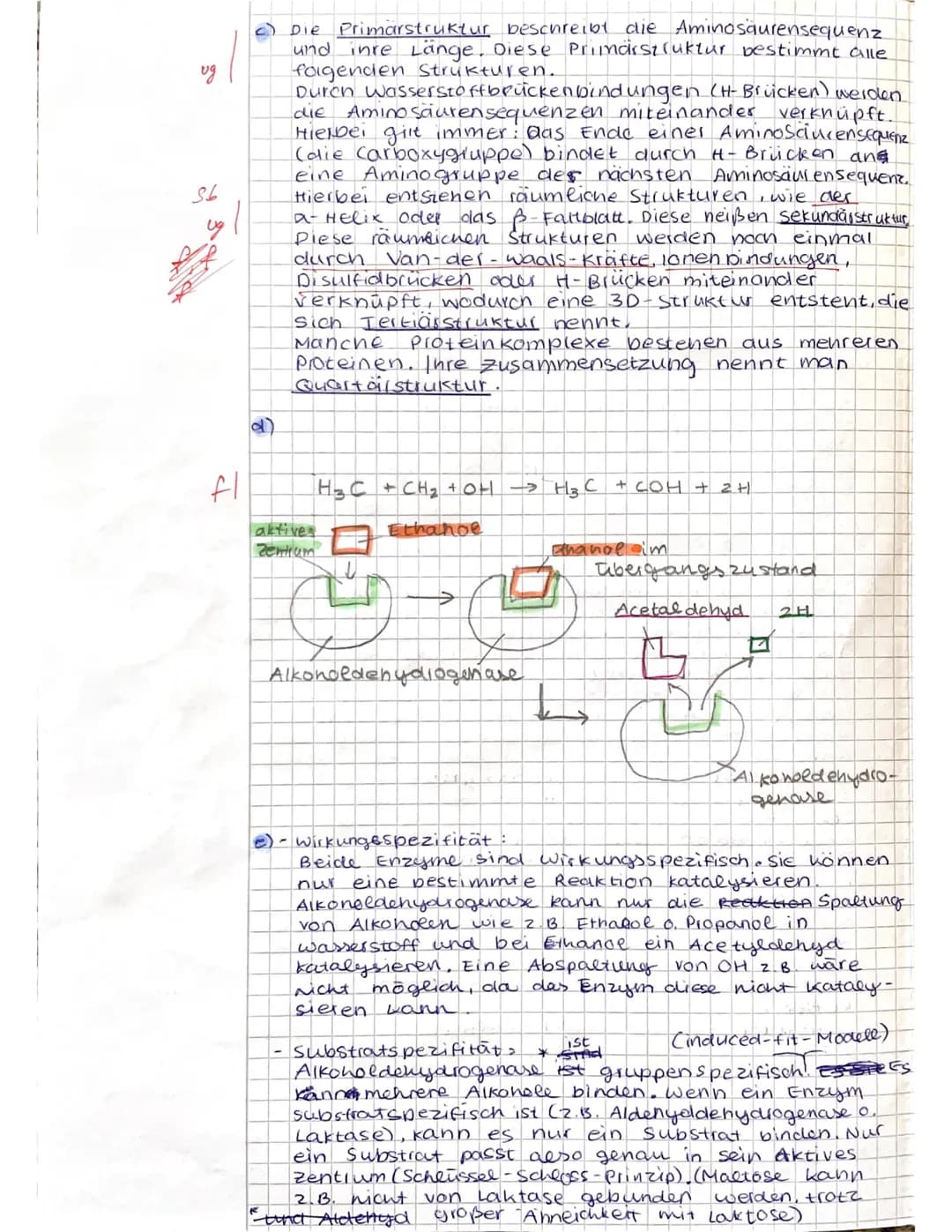 <h2 id="biologieklausurenzymeundstoffwechsel">Biologie Klausur: Enzyme und Stoffwechsel</h2>
<h3 id="aufgabe1alkoholabbauinleberzellen">Aufg