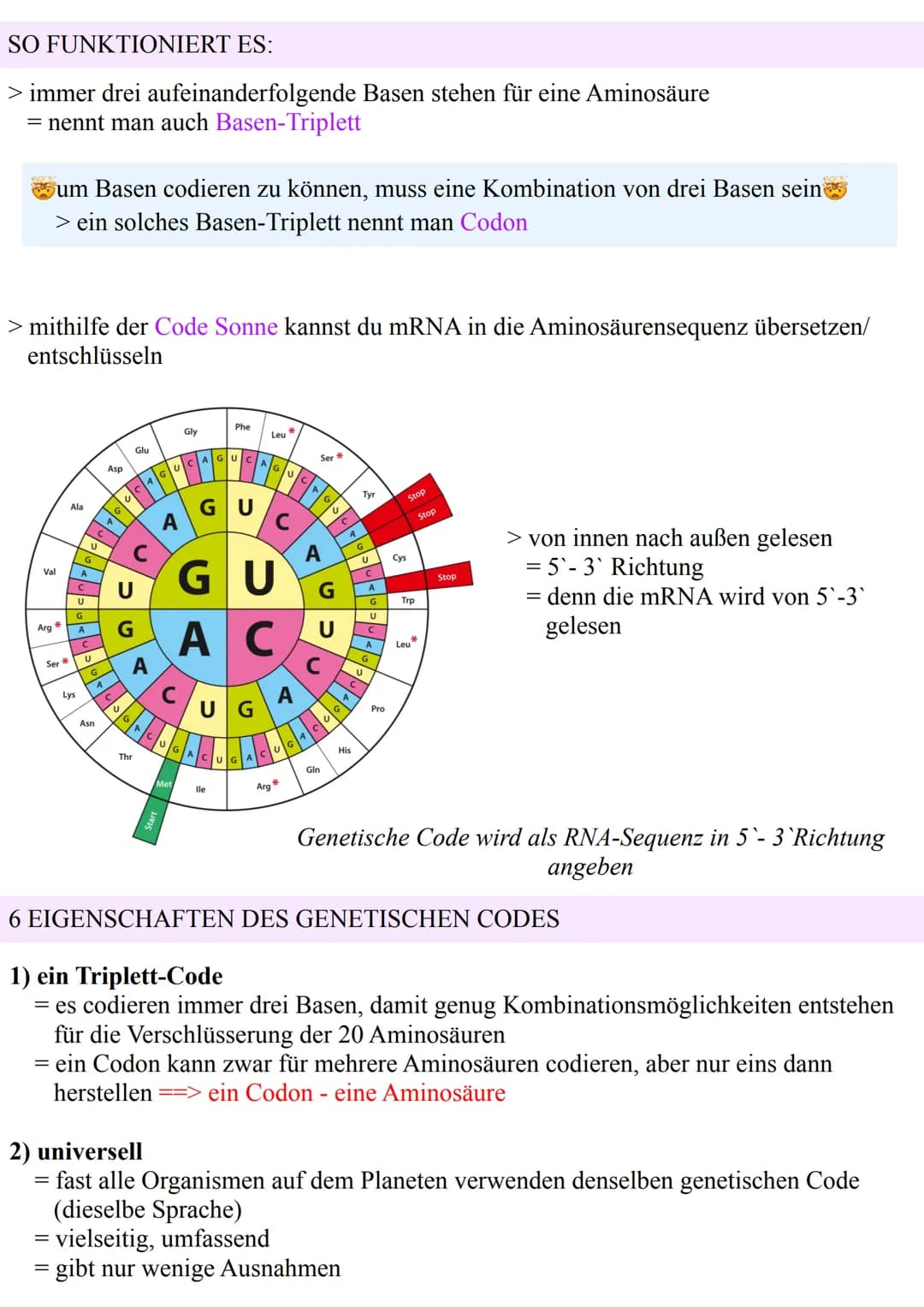 ECOCTISCHE CODE
> mRNA enthält nach der Transkription die Abschrift des Bauplans eines Polypeptids
> Struktur des Polypeptids durch die Reih