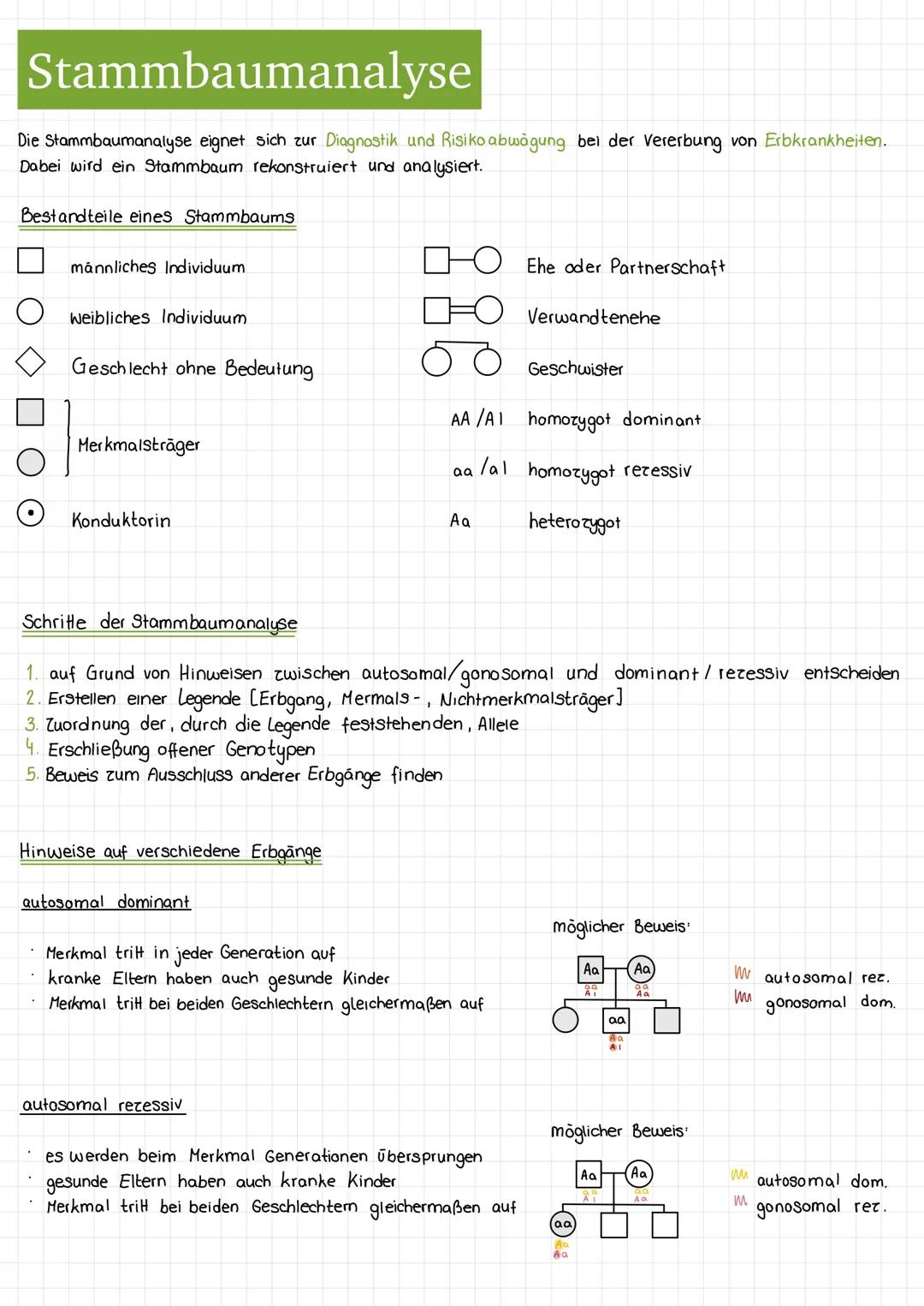 # Stammbaumanalyse

Die Stammbaumanalyse eignet sich zur Diagnostik und Risiko abwägung bei der Vererbung von Erbkrankheiten.
Dabei wird ein