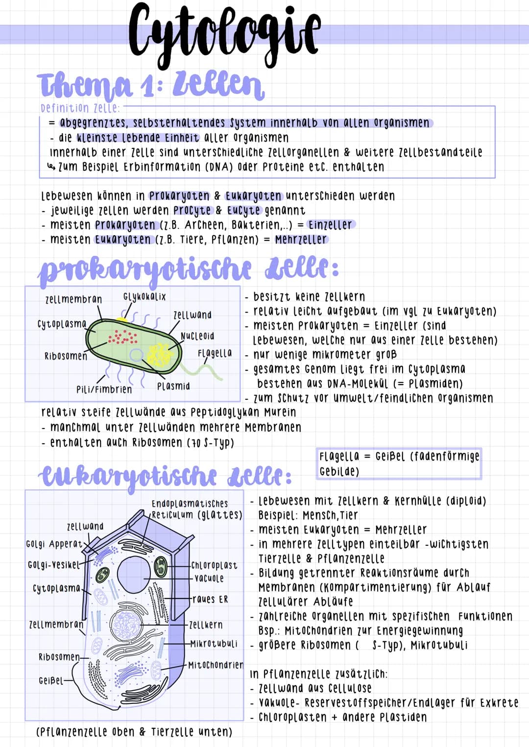 Thema 1: Zellen
Definition Zelle:
abgegrenztes, selbsterhaltendes system innerhalb von allen organismen
die kleinste lebende Einheit aller o