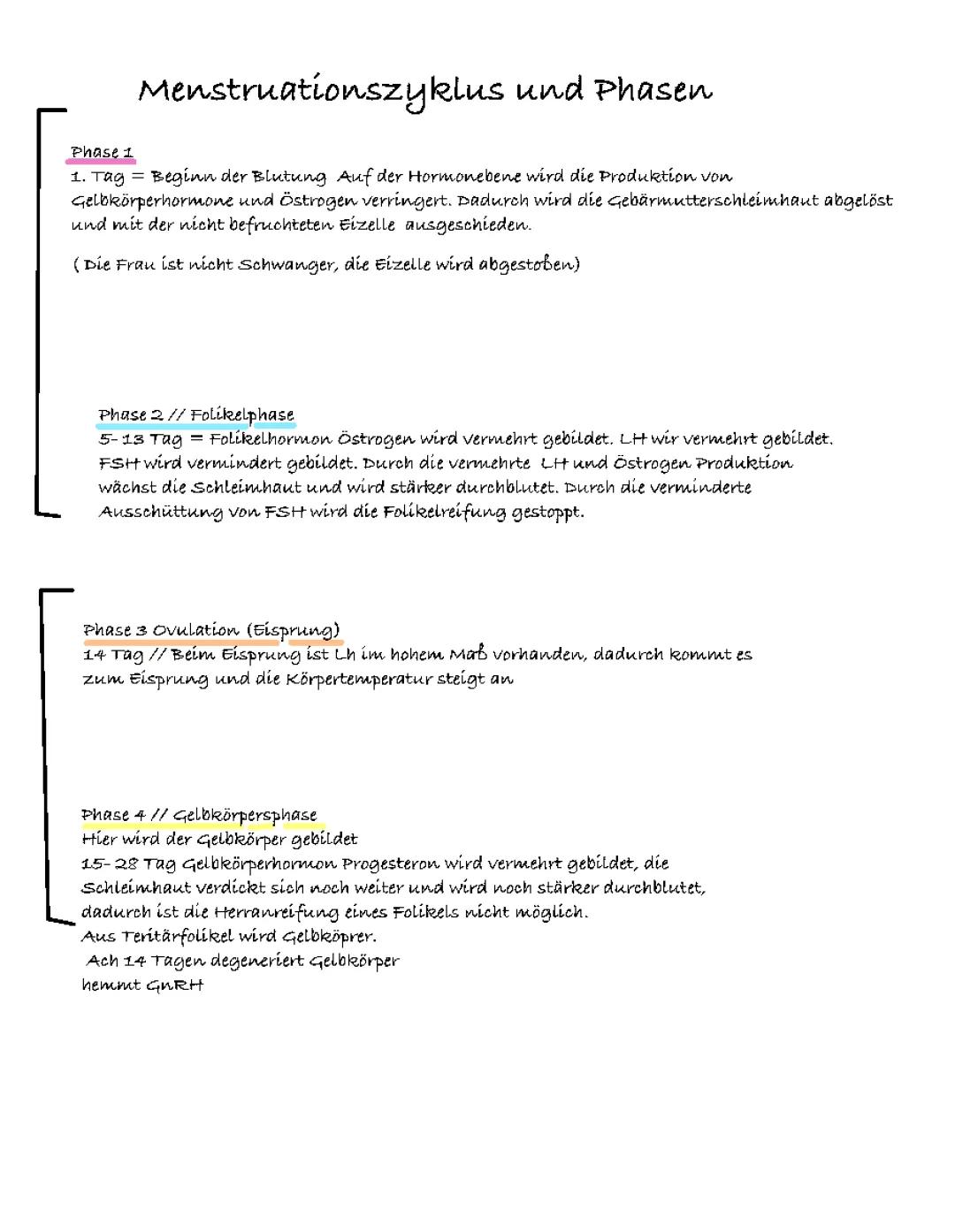 Menstruationszyklus 