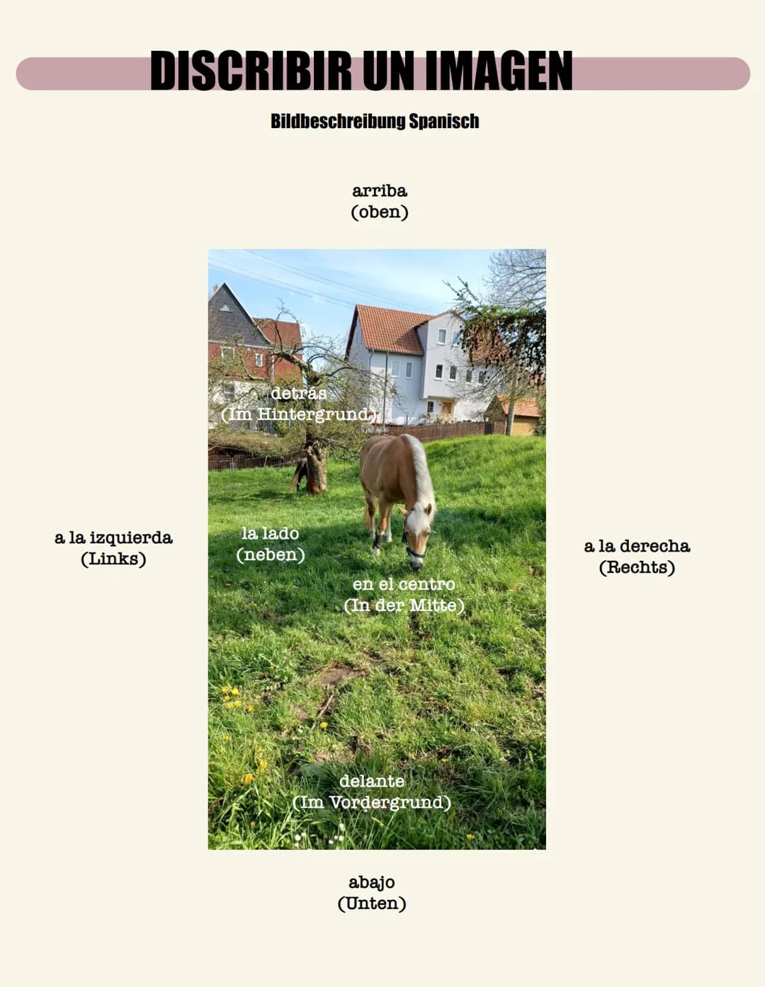 DISCRIBIR UN IMAGEN
a la izquierda
(Links)
Bildbeschreibung Spanisch
arriba
(oben)
detrás
(Im Hintergrund
la lado
(neben)
en el centro
(In d