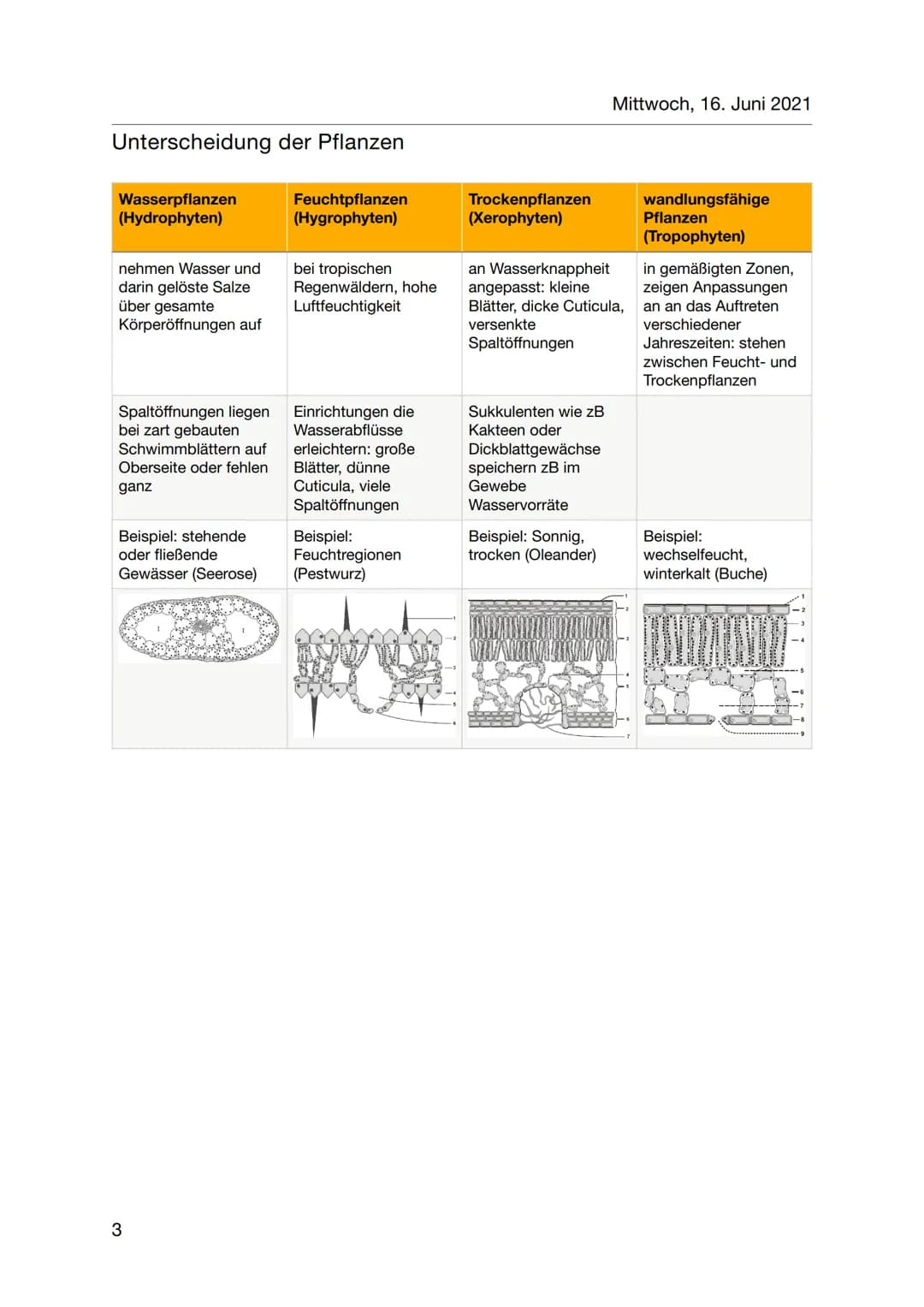 Biologie
abiotischer Faktor Wasser
Lebensraum (Tiere, Bakterien)
• Transportmittel (Stofftransport)
Reaktionsmittel (
Bedeutung/Funktionen:
