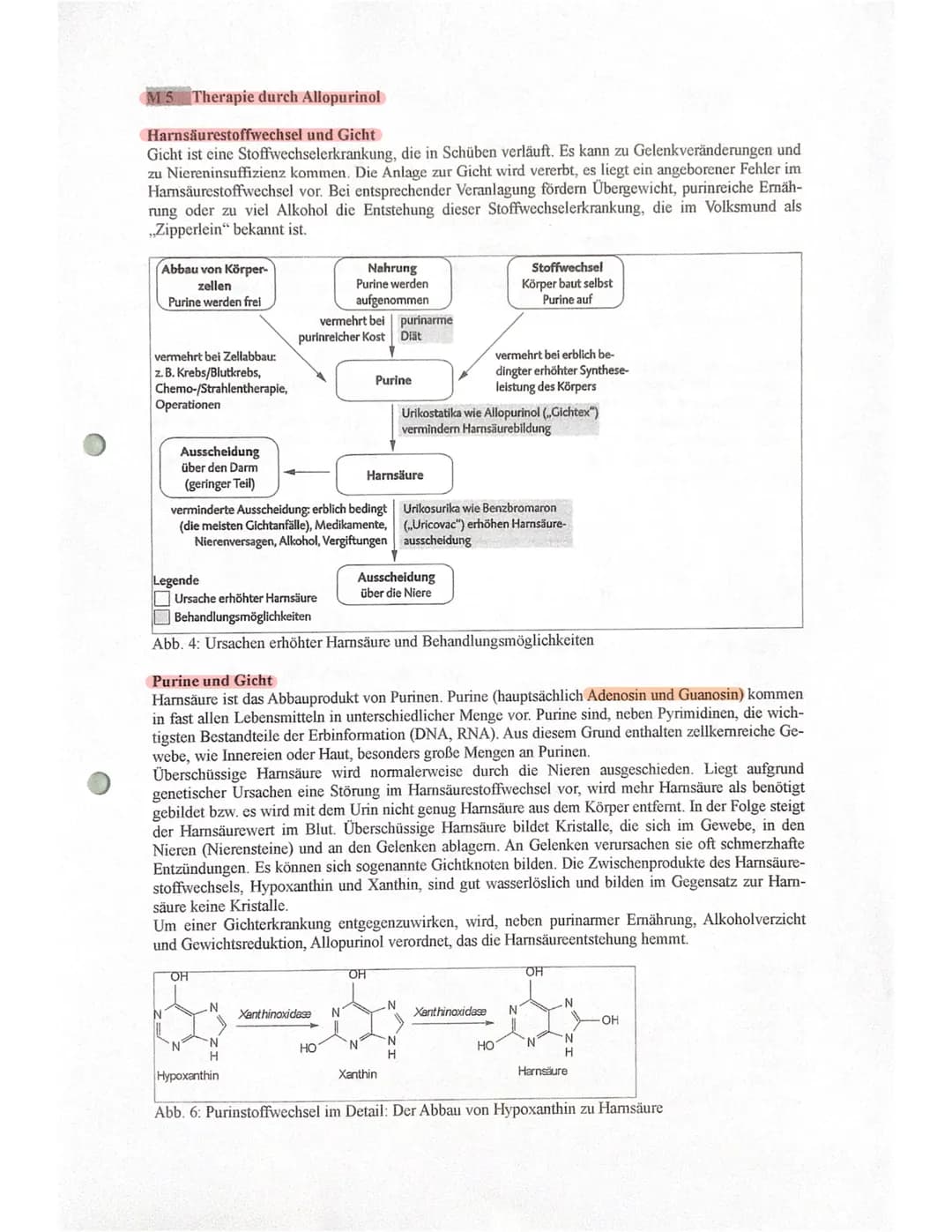 Gicht - eine Stoffwechselerkrankung
M1 Die Gicht (Hyperurikämie)
ist eine Stoffwechselerkrankung, die in Schüben verläuft und (bei unzureich