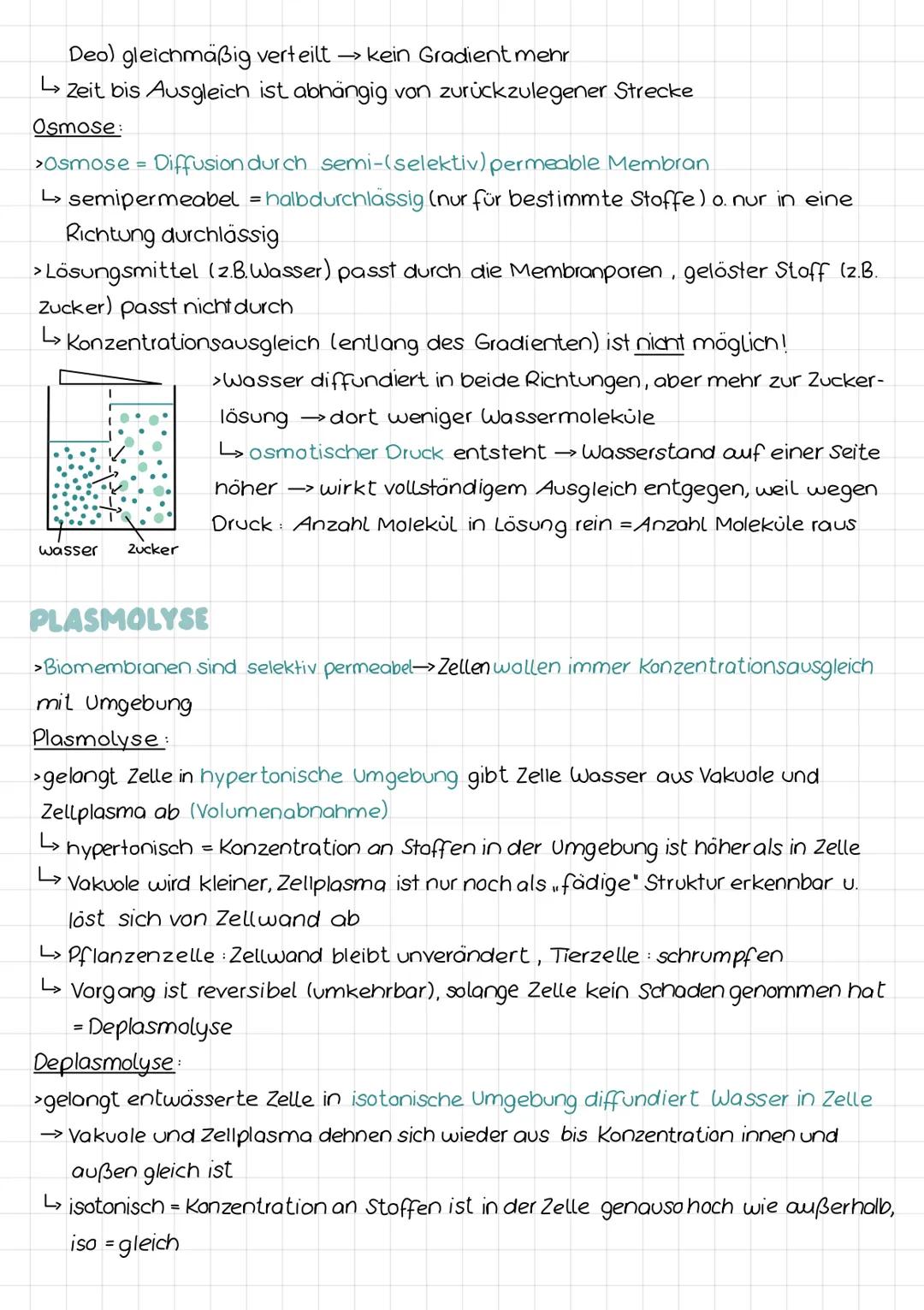PFLANZLICHE VS TIERISCHE ZELLE
800
Zellbiologie
Zellkern
Cytoplasma
-Zellwand
-Zellmembran
Chloroplasten
- Vakuole
·Tüpfel
Zellwand d.
Nachb
