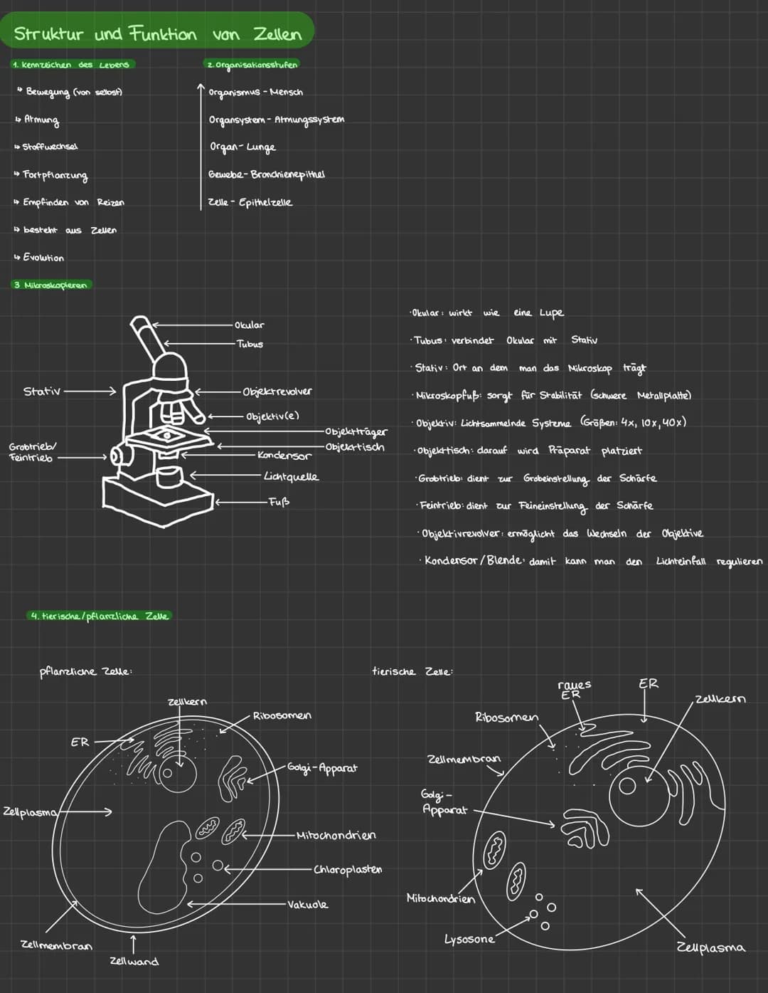 Struktur und Funktion von Zellen
1. Kennzeichen des Lebens
↳ Bewegung (von sellost)
↳ Atmung
↳ Stoffwechsel
Fortpflanzung
↳ Empfinden von Re