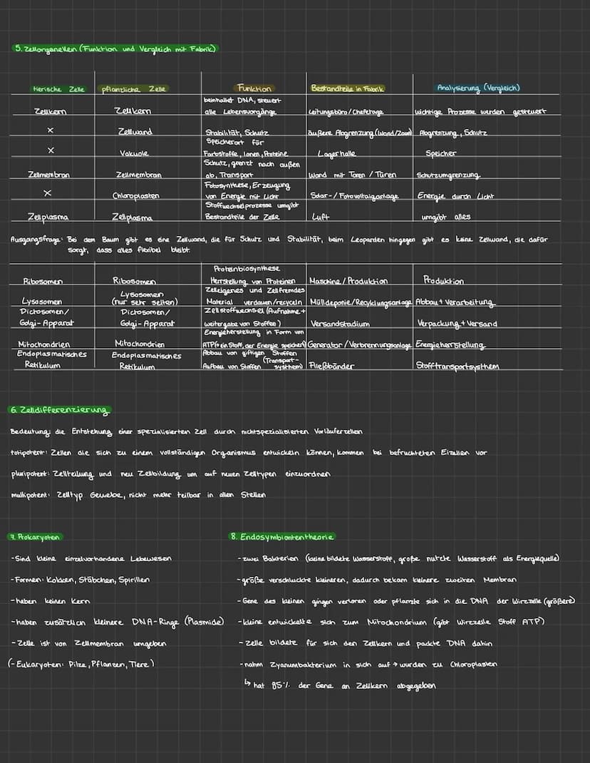 Struktur und Funktion von Zellen
1. Kennzeichen des Lebens
↳ Bewegung (von sellost)
↳ Atmung
↳ Stoffwechsel
Fortpflanzung
↳ Empfinden von Re