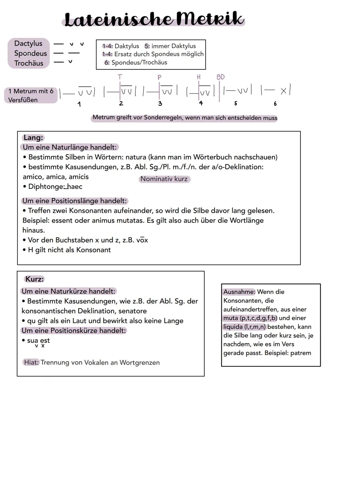 Themen:
1. Paraphrase (Text in eigenen Worten
wiedergeben)
Latein Lernzettel
2. Stilmittelanalyse (3-5 deuten) + Interpretation
3. Metrik
4.
