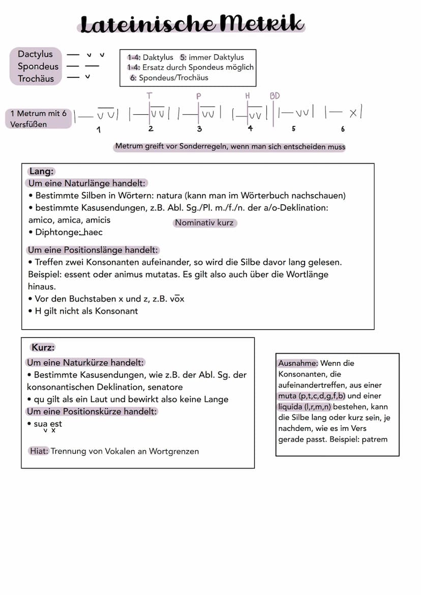 Themen:
1. Paraphrase (Text in eigenen Worten
wiedergeben)
Latein Lernzettel
2. Stilmittelanalyse (3-5 deuten) + Interpretation
3. Metrik
4.