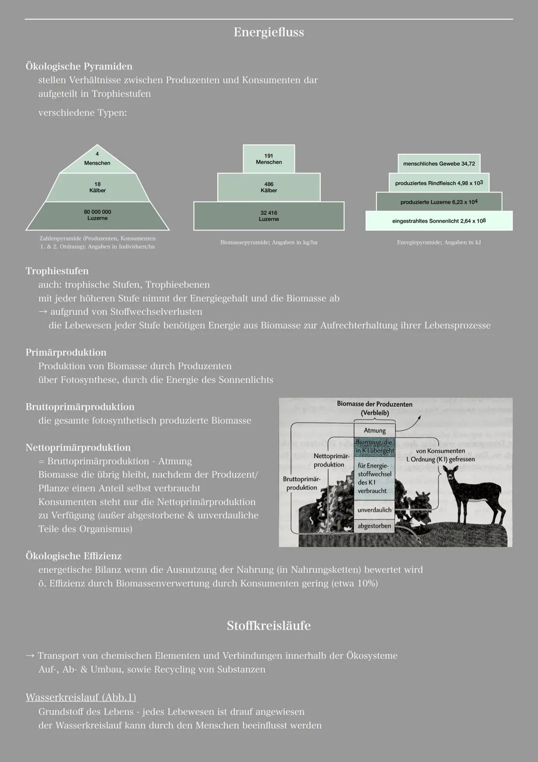# Energiefluss

Ökologische Pyramiden
stellen Verhältnisse zwischen Produzenten und Konsumenten dar
aufgeteilt in Trophiestufen

verschieden