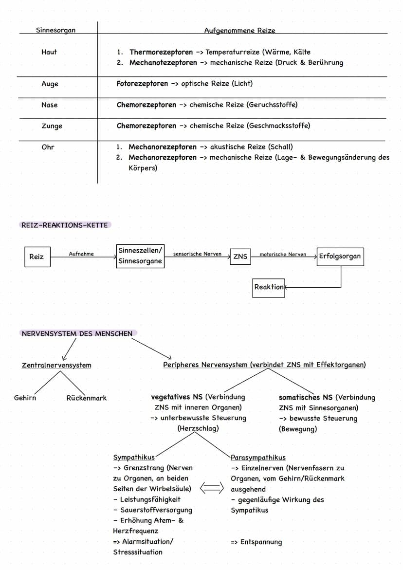 EINLEITUNG
grundlegende Begriffe
Reiz: Einwirkung auf Sinneszellen, die zu einer Veränderung des Membranruhepotentials der Sinneszelle
führe