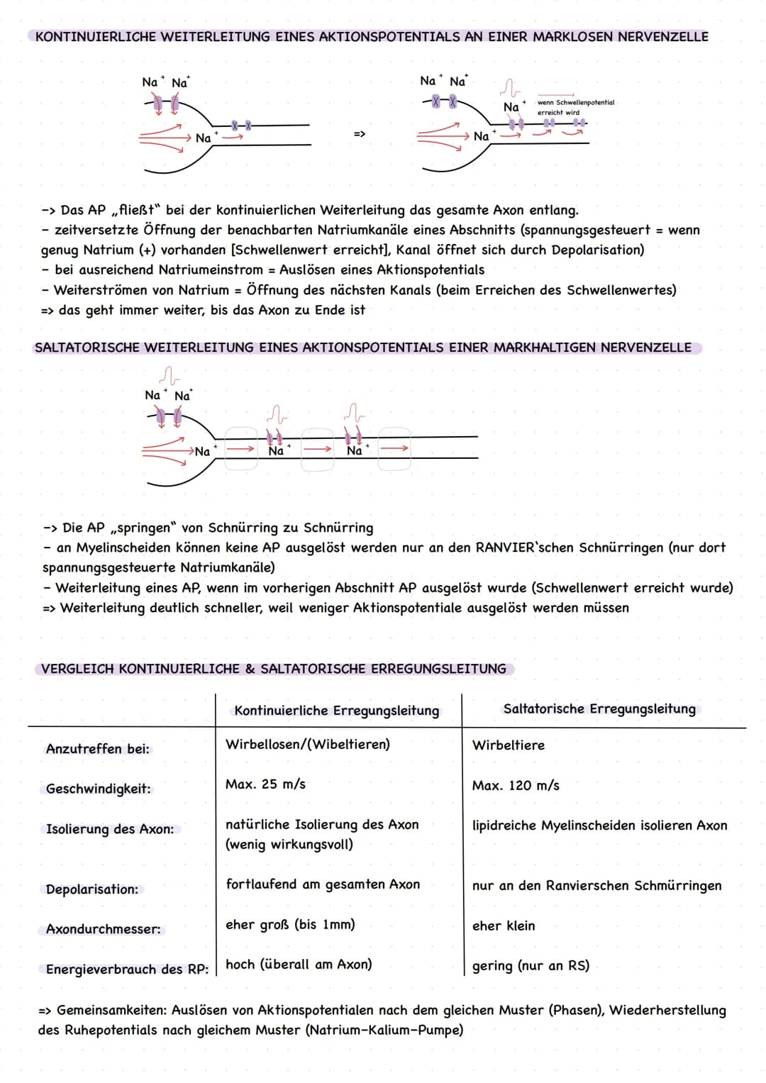 EINLEITUNG
grundlegende Begriffe
Reiz: Einwirkung auf Sinneszellen, die zu einer Veränderung des Membranruhepotentials der Sinneszelle
führe