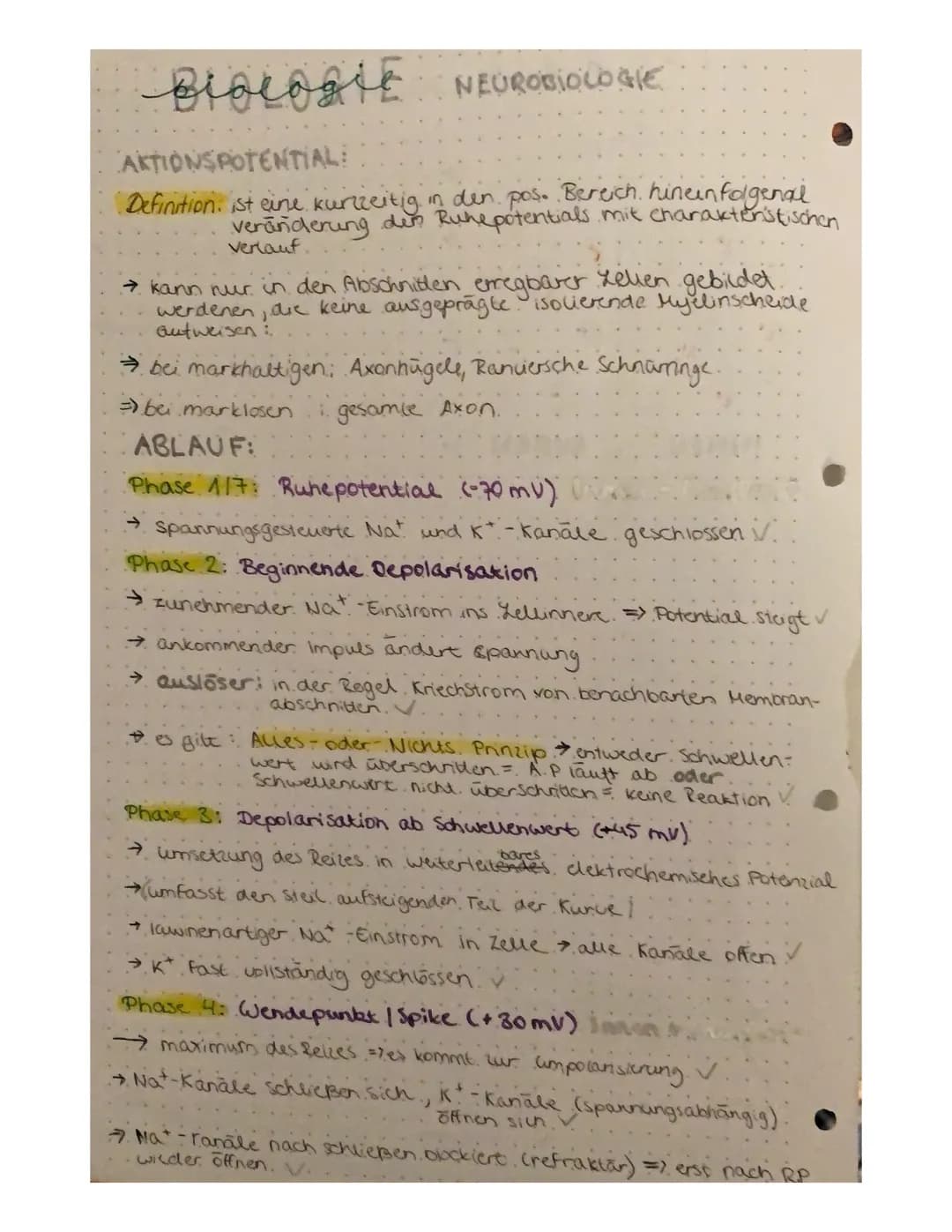 BIOLOGIE NEUROBIOLOGIE
NERVENZELLEN:
Zell
Zelikem
zaimembran
Zellkörper (Soma)
Axenhügel
Dendriten.
Gliarellen
Lücken aut.
.dem Axon.
Geschw