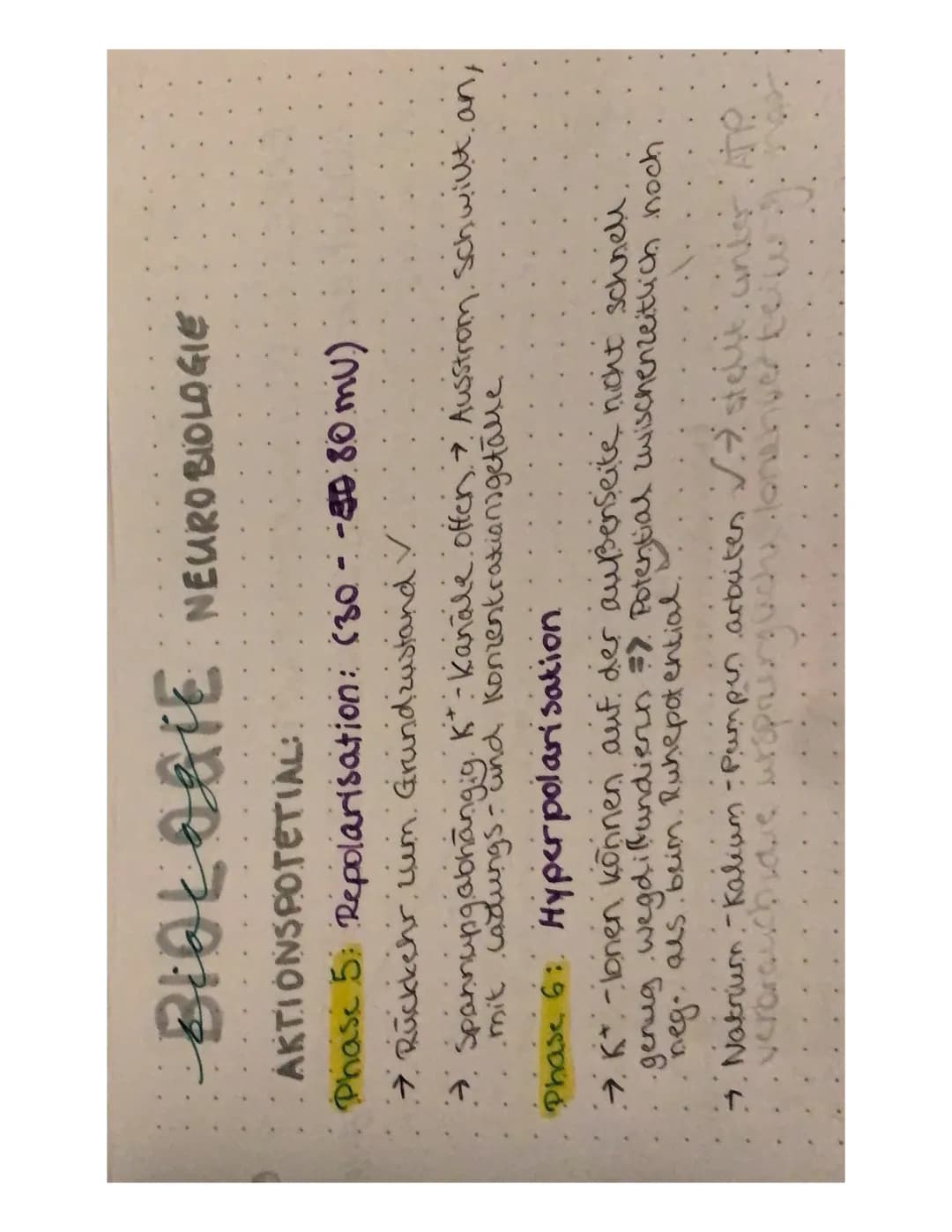 BIOLOGIE NEUROBIOLOGIE
NERVENZELLEN:
Zell
Zelikem
zaimembran
Zellkörper (Soma)
Axenhügel
Dendriten.
Gliarellen
Lücken aut.
.dem Axon.
Geschw