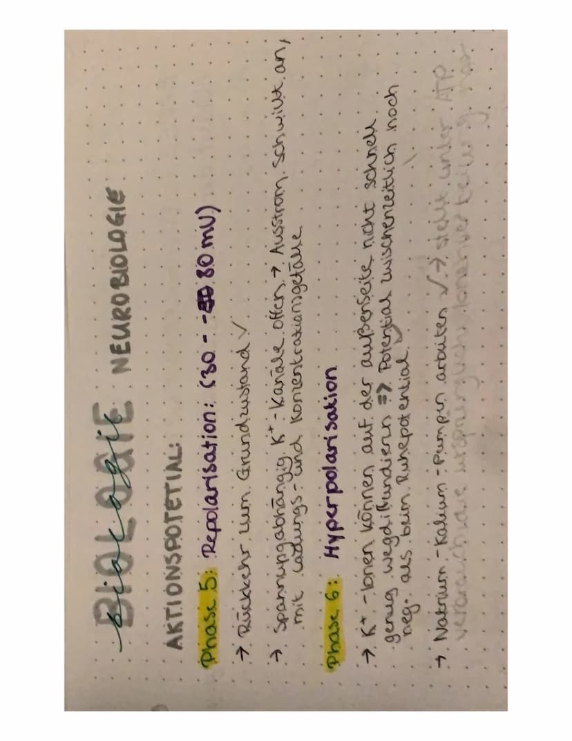 BIOLOGIE NEUROBIOLOGIE
NERVENZELLEN:
Zell
Zelikem
zaimembran
Zellkörper (Soma)
Axenhügel
Dendriten.
Gliarellen
Lücken aut.
.dem Axon.
Geschw