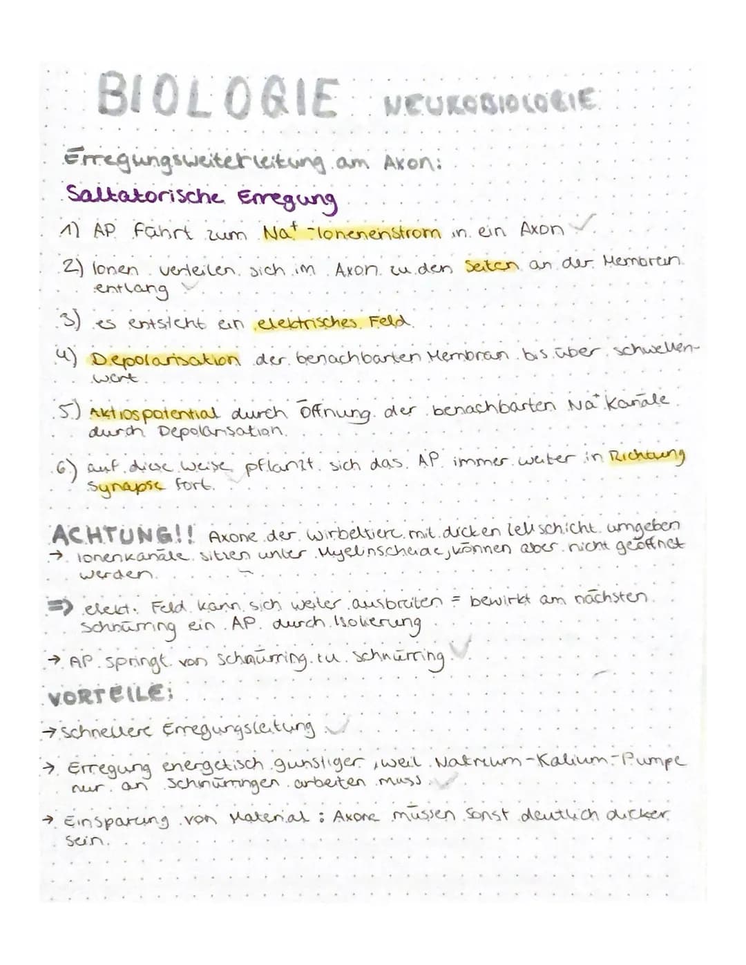 BIOLOGIE NEUROBIOLOGIE
NERVENZELLEN:
Zell
Zelikem
zaimembran
Zellkörper (Soma)
Axenhügel
Dendriten.
Gliarellen
Lücken aut.
.dem Axon.
Geschw