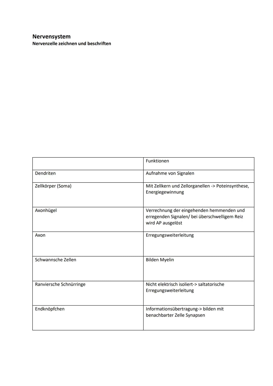 Nervensystem
Nervenzelle zeichnen und beschriften
Dendriten
Zellkörper (Soma)
Axonhügel
Axon
Schwannsche Zellen
Ranviersche Schnürringe
Endk