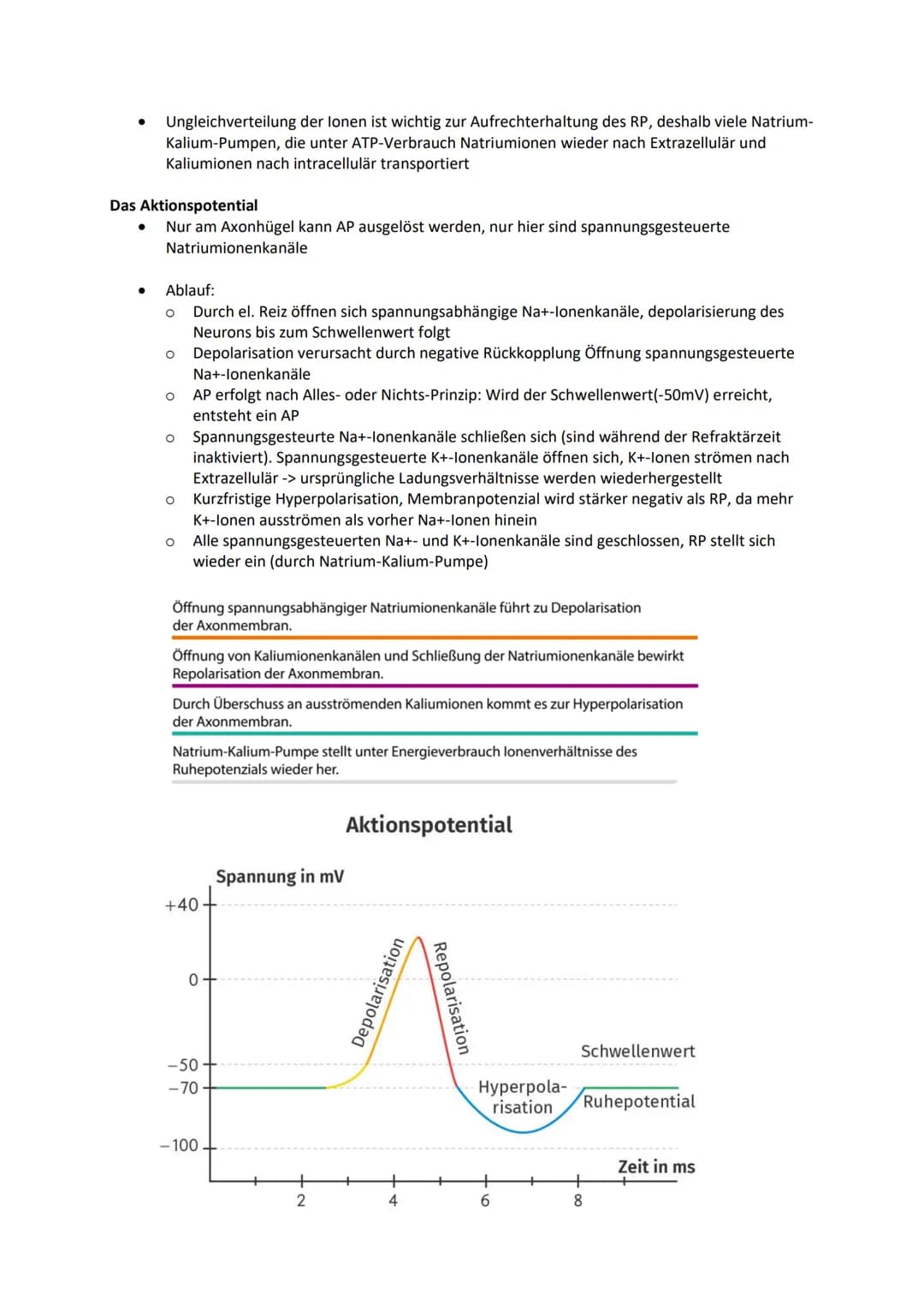 Nervensystem
Nervenzelle zeichnen und beschriften
Dendriten
Zellkörper (Soma)
Axonhügel
Axon
Schwannsche Zellen
Ranviersche Schnürringe
Endk