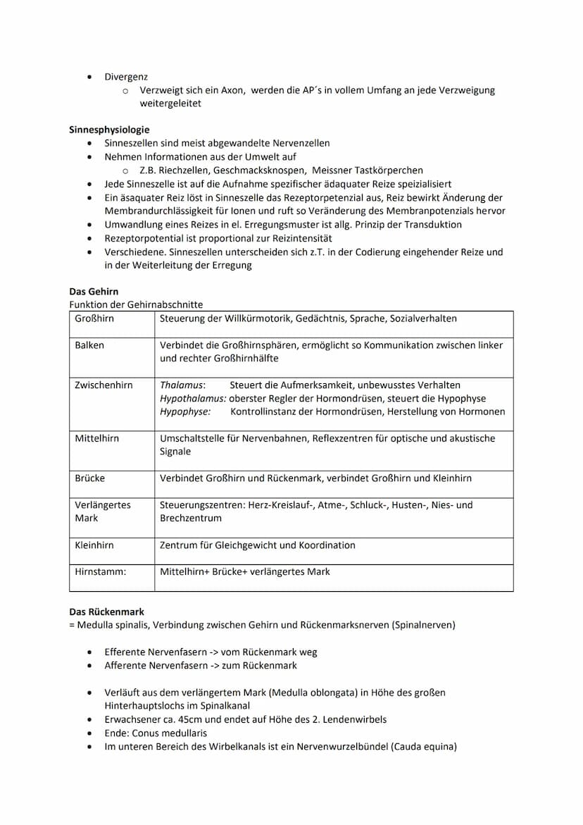 Nervensystem
Nervenzelle zeichnen und beschriften
Dendriten
Zellkörper (Soma)
Axonhügel
Axon
Schwannsche Zellen
Ranviersche Schnürringe
Endk