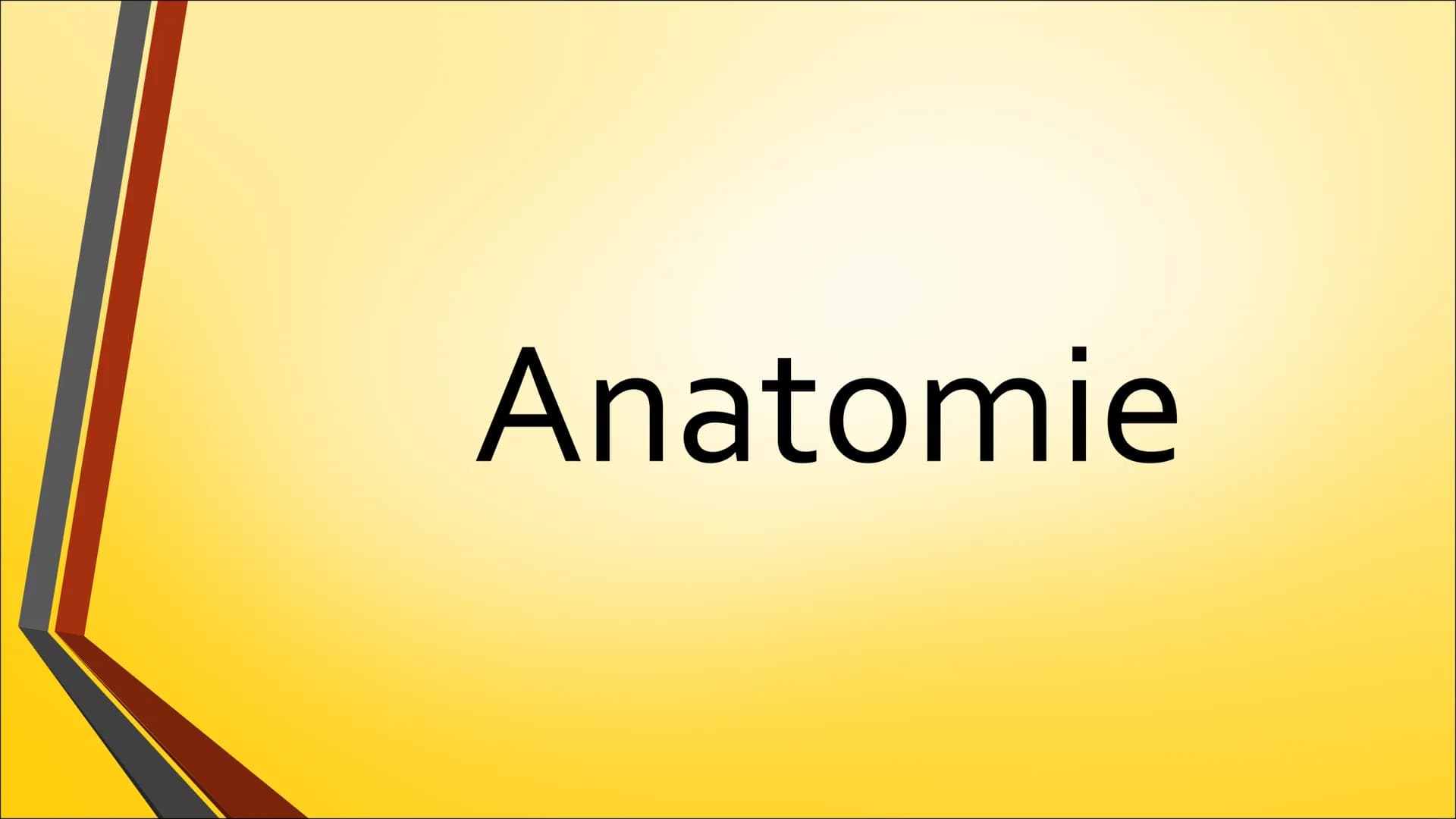 Herz ●
Anatomie (Aufbau)
Physiologie (Funktion)
Herzerkrankungen
● Herzeingriffe
Inhaltsverzeichnis
Quiz Anatomie Steckbrief
• Grösse: gesch
