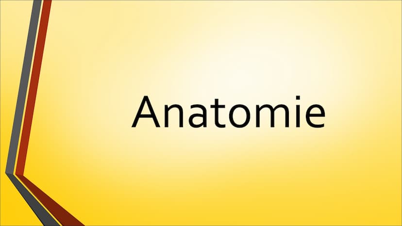 Herz ●
Anatomie (Aufbau)
Physiologie (Funktion)
Herzerkrankungen
● Herzeingriffe
Inhaltsverzeichnis
Quiz Anatomie Steckbrief
• Grösse: gesch
