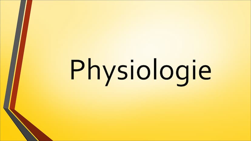 Herz ●
Anatomie (Aufbau)
Physiologie (Funktion)
Herzerkrankungen
● Herzeingriffe
Inhaltsverzeichnis
Quiz Anatomie Steckbrief
• Grösse: gesch