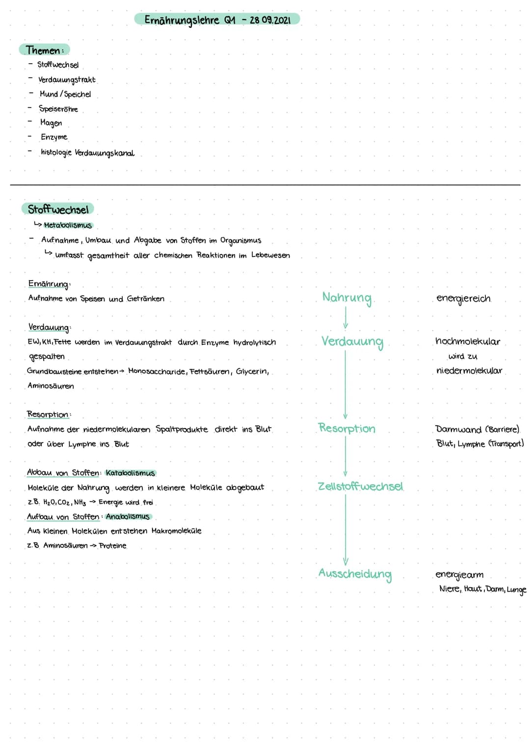 Themen:
- Stoffwechsel
Verdauungstrakt
Mund/Speichel
Speiseröhre
Magen
Enzyme
histologie Verdauungskanal
Ernährungslehre Q1-28 09.2021
Stoff