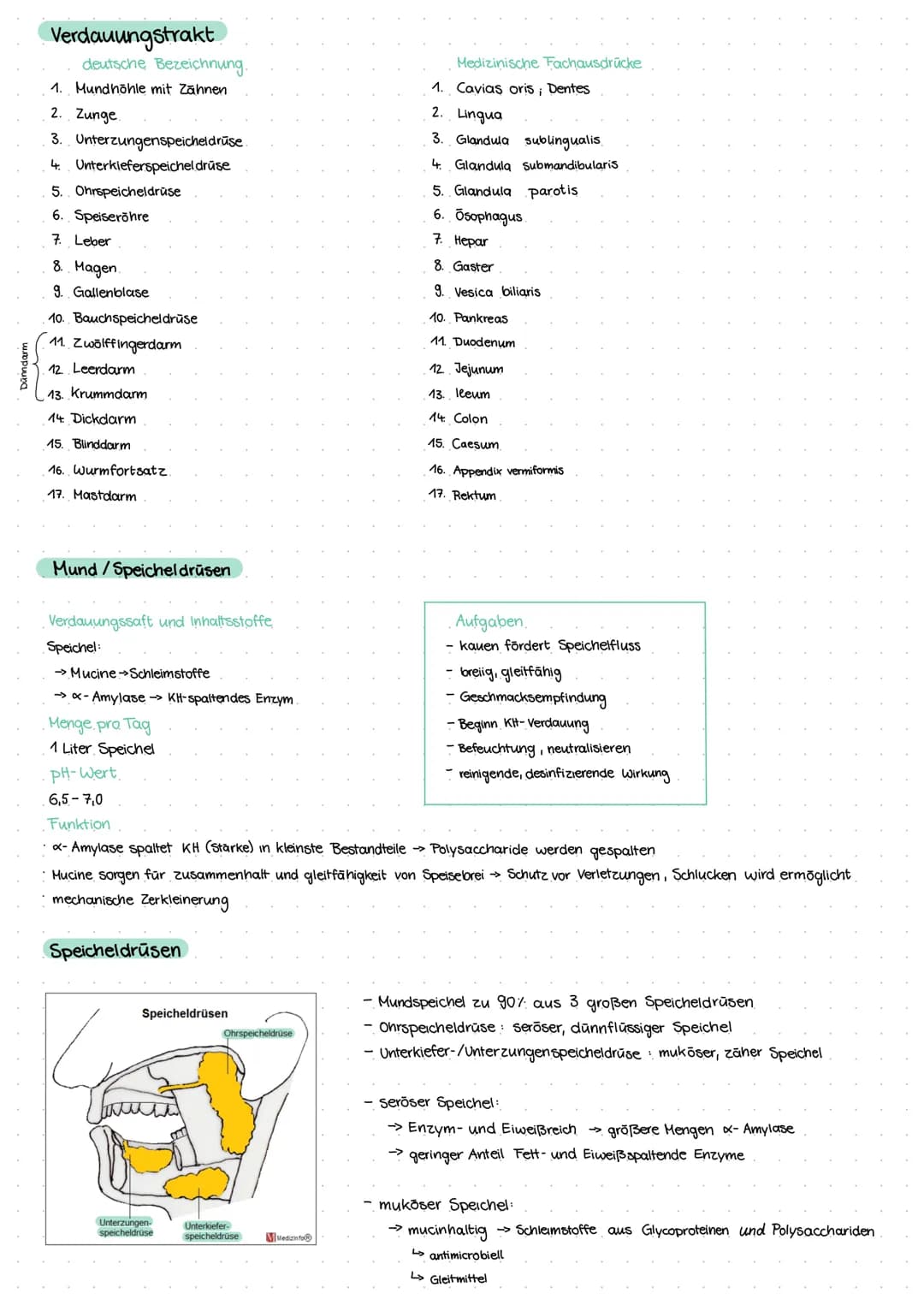 Themen:
- Stoffwechsel
Verdauungstrakt
Mund/Speichel
Speiseröhre
Magen
Enzyme
histologie Verdauungskanal
Ernährungslehre Q1-28 09.2021
Stoff