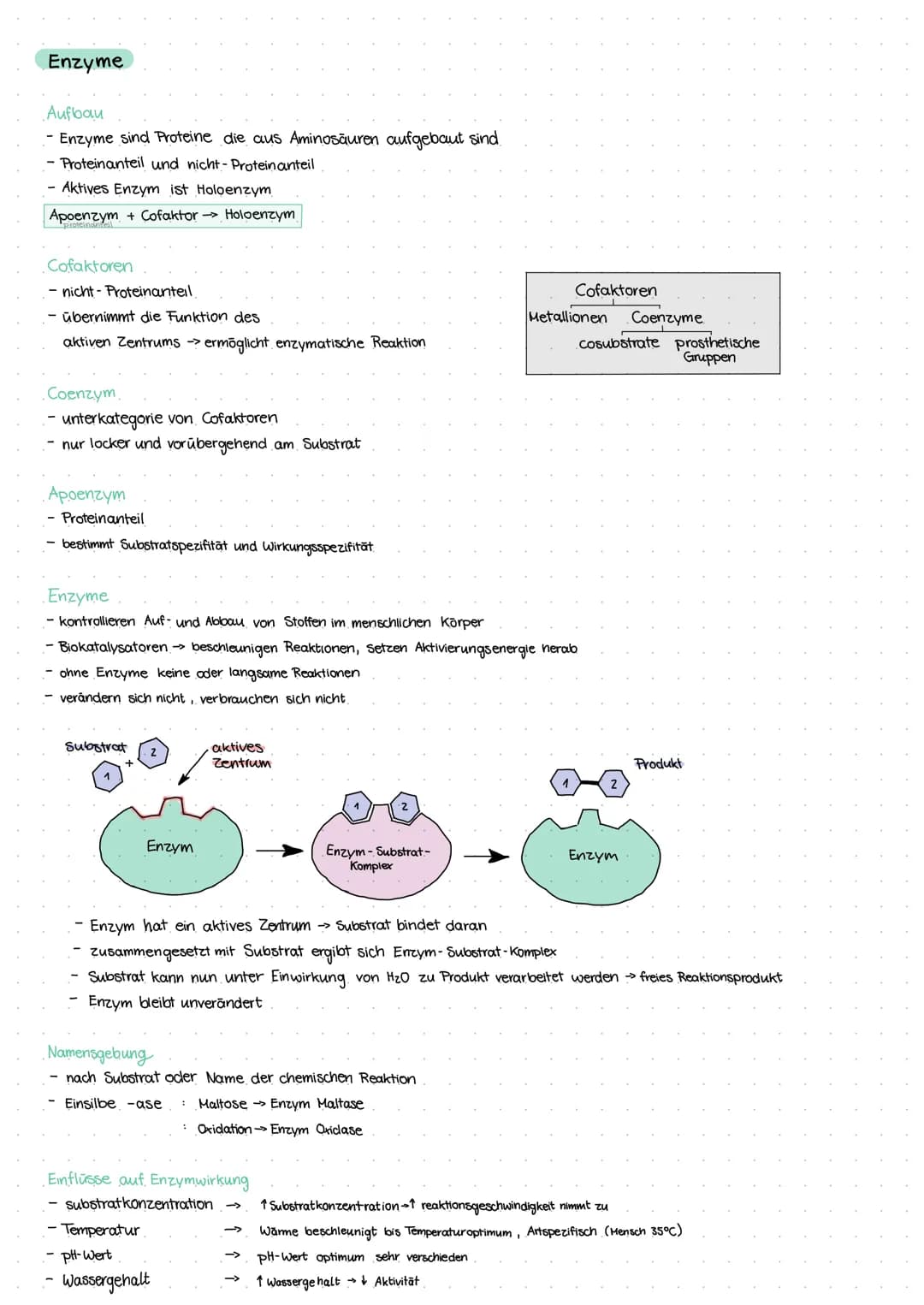 Themen:
- Stoffwechsel
Verdauungstrakt
Mund/Speichel
Speiseröhre
Magen
Enzyme
histologie Verdauungskanal
Ernährungslehre Q1-28 09.2021
Stoff