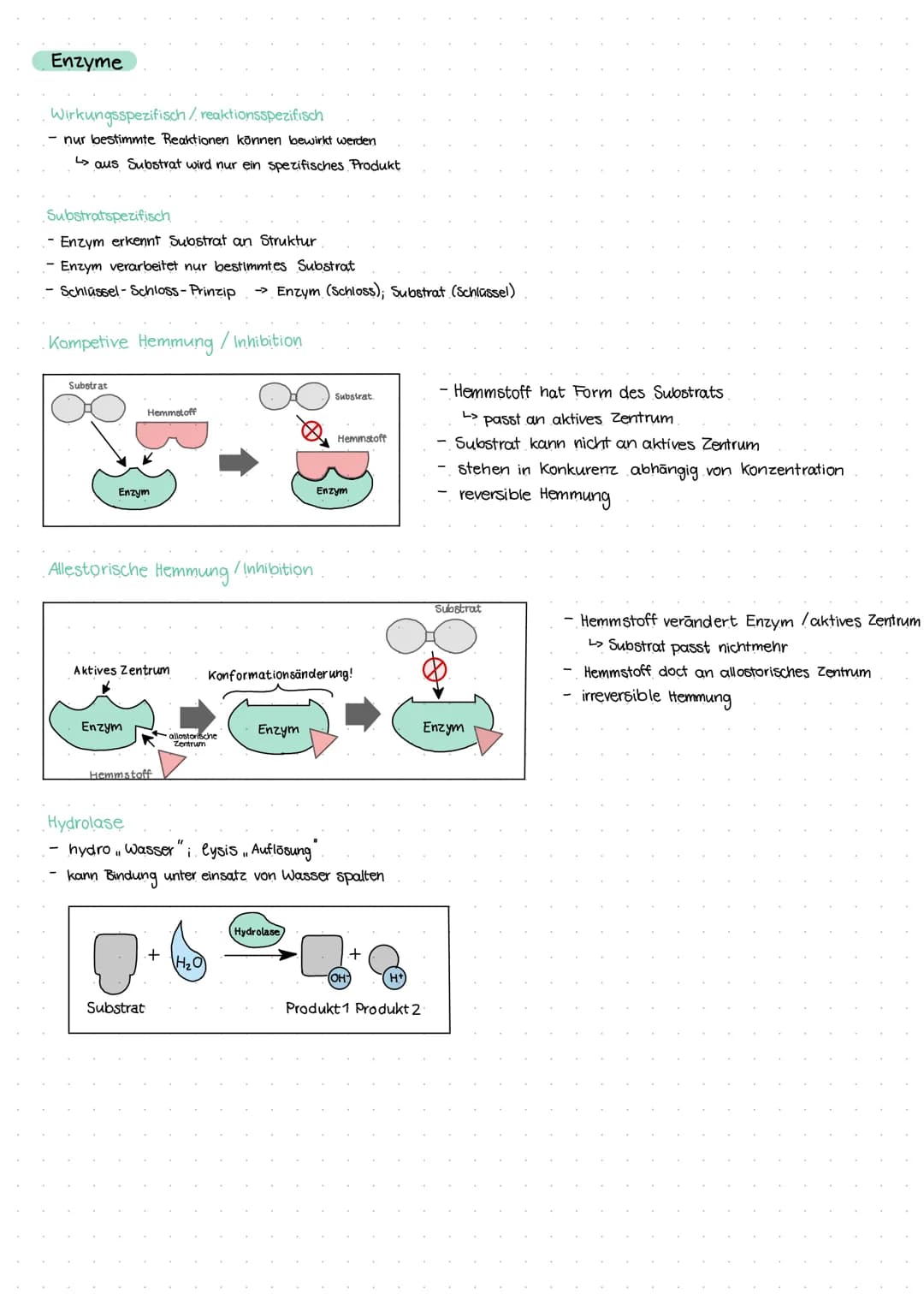 Themen:
- Stoffwechsel
Verdauungstrakt
Mund/Speichel
Speiseröhre
Magen
Enzyme
histologie Verdauungskanal
Ernährungslehre Q1-28 09.2021
Stoff