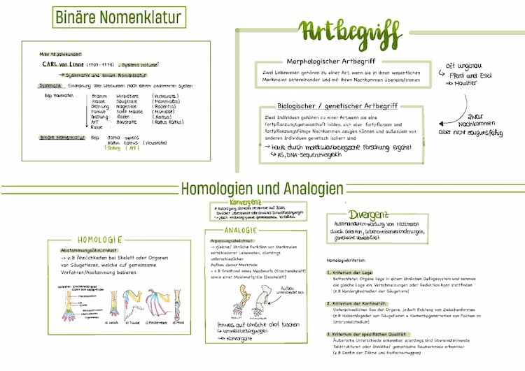 Know Evolution Lernzettel Abitur GK  thumbnail