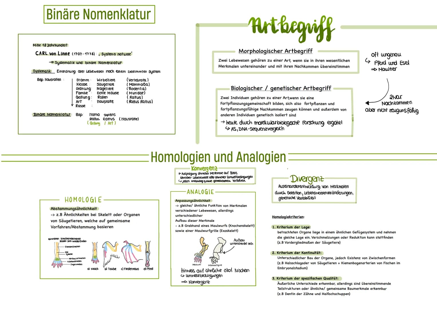 Binäre Nomenklatur
Mitte 18 Jahrhundert:
CARL von Linne (1707-1778), Systema naturae
→ Systematik und binäre Nomenklatur
Systematik Einordnu