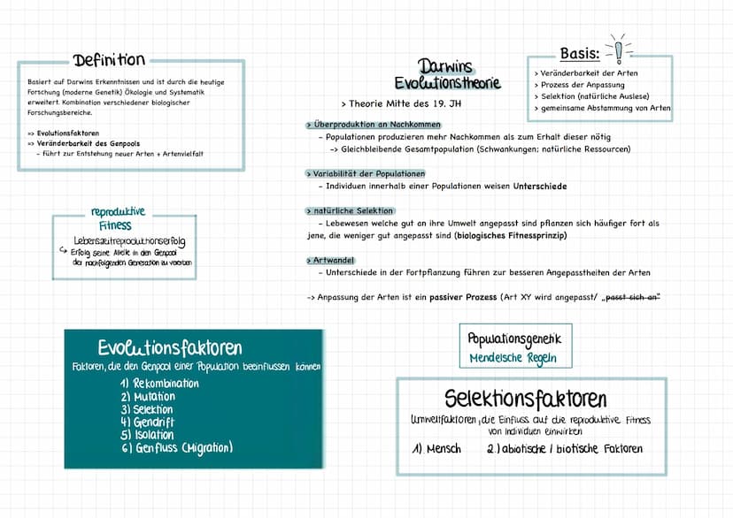 Binäre Nomenklatur
Mitte 18 Jahrhundert:
CARL von Linne (1707-1778), Systema naturae
→ Systematik und binäre Nomenklatur
Systematik Einordnu