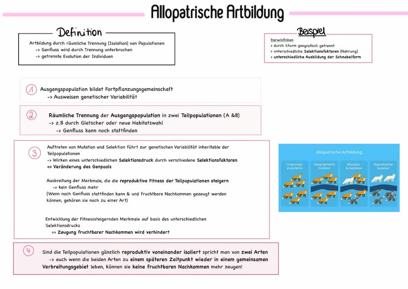 Binäre Nomenklatur
Mitte 18 Jahrhundert:
CARL von Linne (1707-1778), Systema naturae
→ Systematik und binäre Nomenklatur
Systematik Einordnu