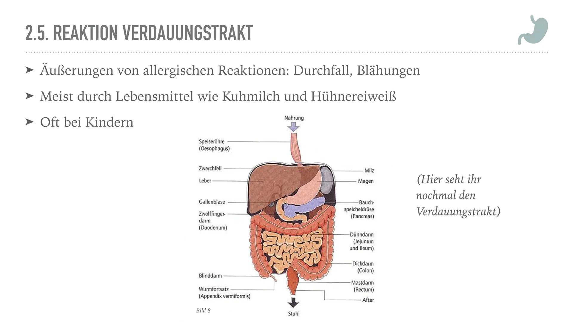 ALLERGIEN
Alicia Saalmann, Timo Streek und Helena Schulze INHALT
1. Wie entsteht eine Allergie?
2. Definition und Krankheitsbild
2.1. Reakti