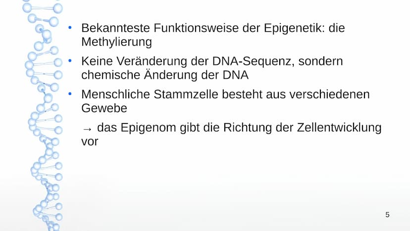 Epigenetik
Von:
Agsaya
1 ●
●
●
●
●
●
Basiswissen
Was ist Epigenetik?
Das Epigenom
Inhaltsverzeichnis
Epigenetischer Marker
Inaktivierung des