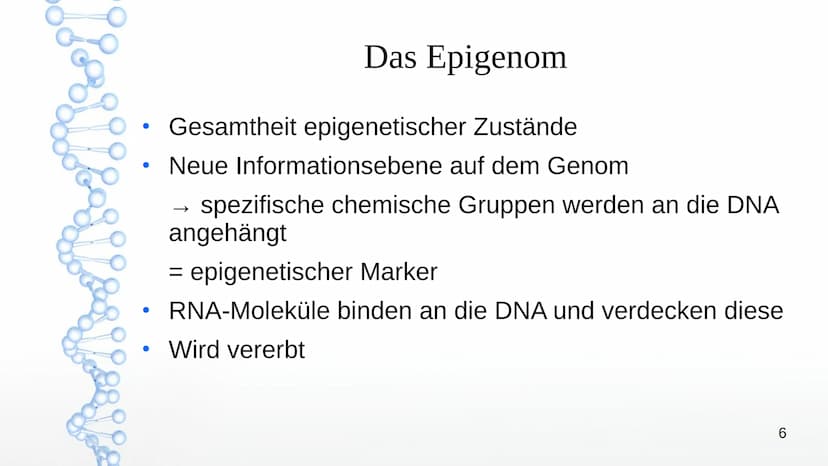 Epigenetik
Von:
Agsaya
1 ●
●
●
●
●
●
Basiswissen
Was ist Epigenetik?
Das Epigenom
Inhaltsverzeichnis
Epigenetischer Marker
Inaktivierung des