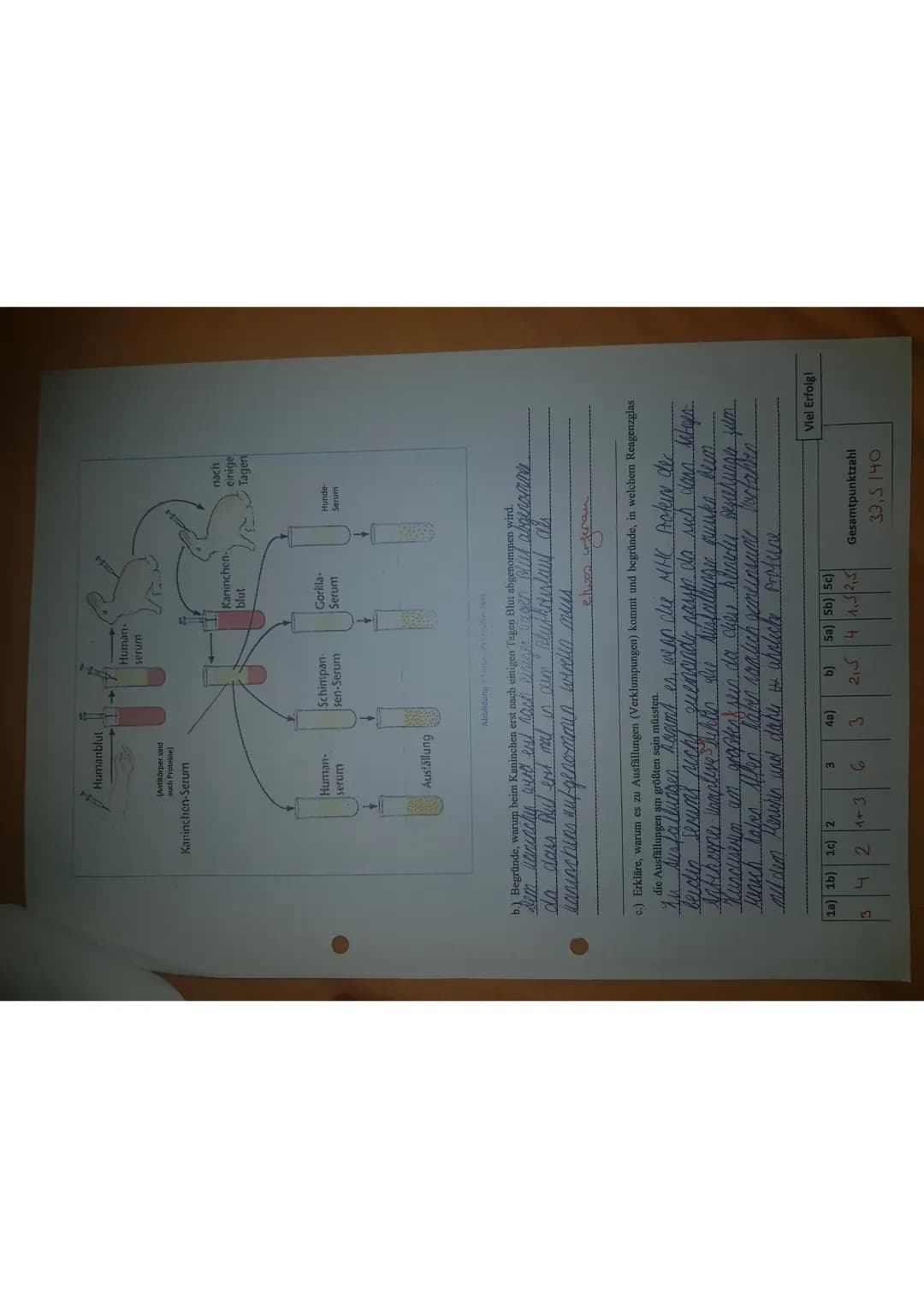 9L2 (Re)
Name:
Lisa Holm
Biologieklausur Nr. 1
1.
Antibiotika
a) Erkläre, wie Antibiotika entdeckt wurden.
30.10.2018
Bearbeitungszeit: 45mi