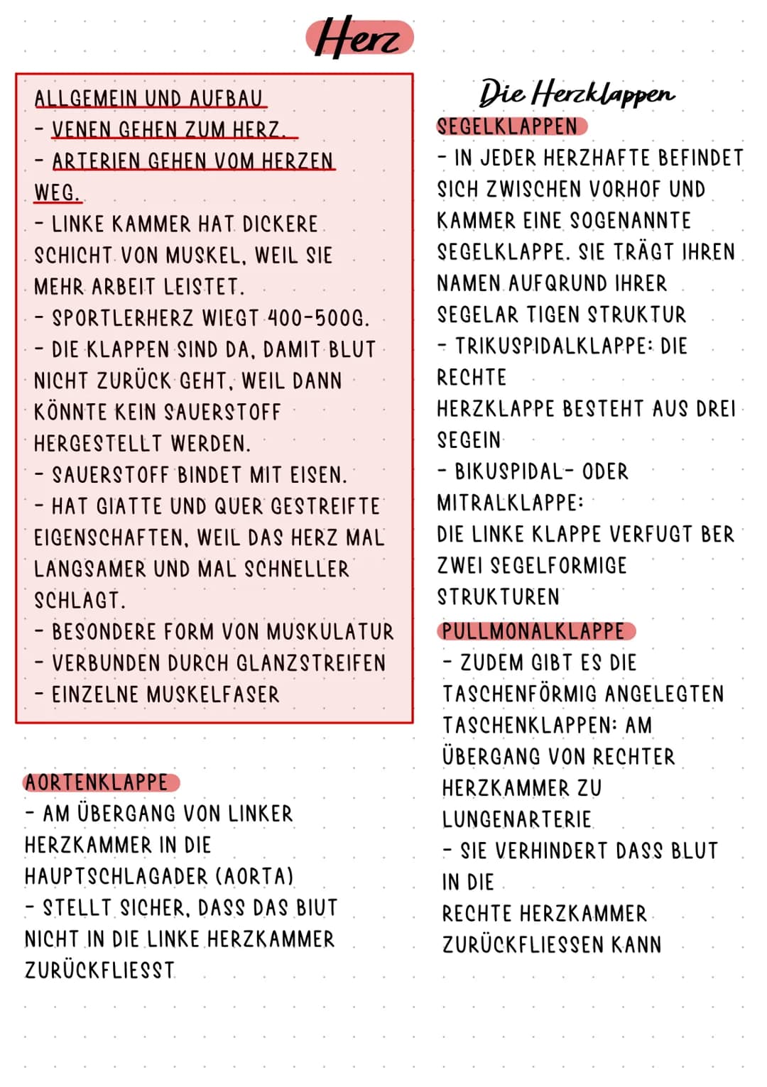 HERZKREISLAUFSYSTEM UND HERZKRANKHEITEN
ANATOMIE
HERZKREISLAUF
ABLAUF
AUFGABE
KRANKHEITEN Pulmonal-
klappe
Trikuspidal:
klappe
obere
Hohlven