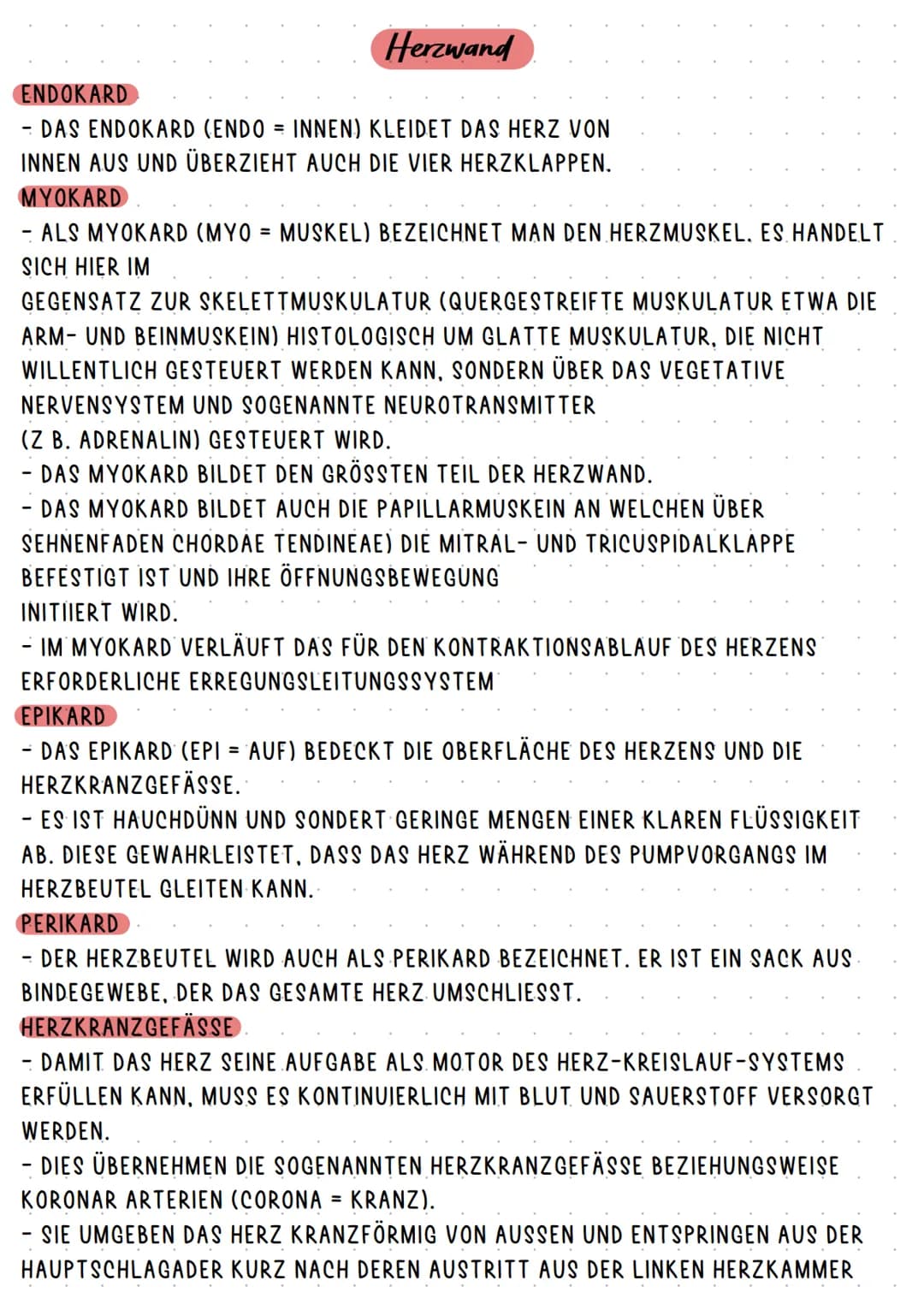 HERZKREISLAUFSYSTEM UND HERZKRANKHEITEN
ANATOMIE
HERZKREISLAUF
ABLAUF
AUFGABE
KRANKHEITEN Pulmonal-
klappe
Trikuspidal:
klappe
obere
Hohlven