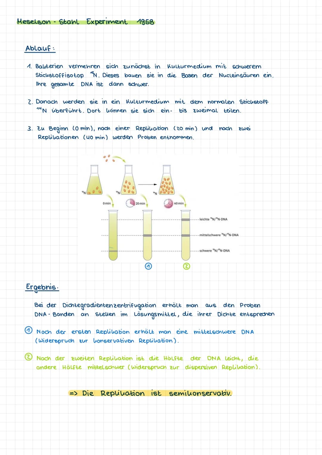 1.1 Nucleinsäuren als Erbinformationsträger
Vorwissen:
-
Chromosomen sind verantwortlich für die Übertragung der
Erbinformationen und besteh