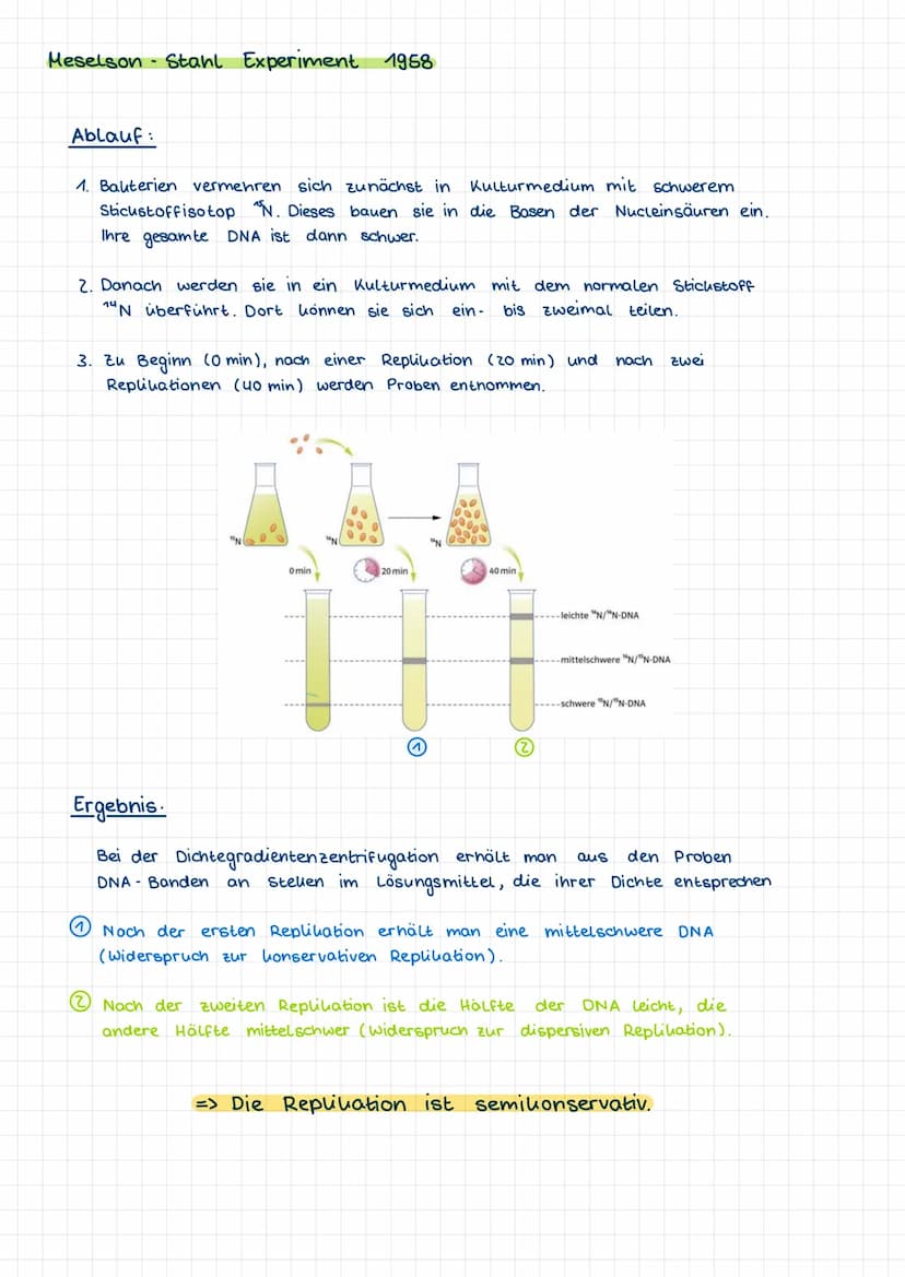 1.1 Nucleinsäuren als Erbinformationsträger
Vorwissen:
-
Chromosomen sind verantwortlich für die Übertragung der
Erbinformationen und besteh